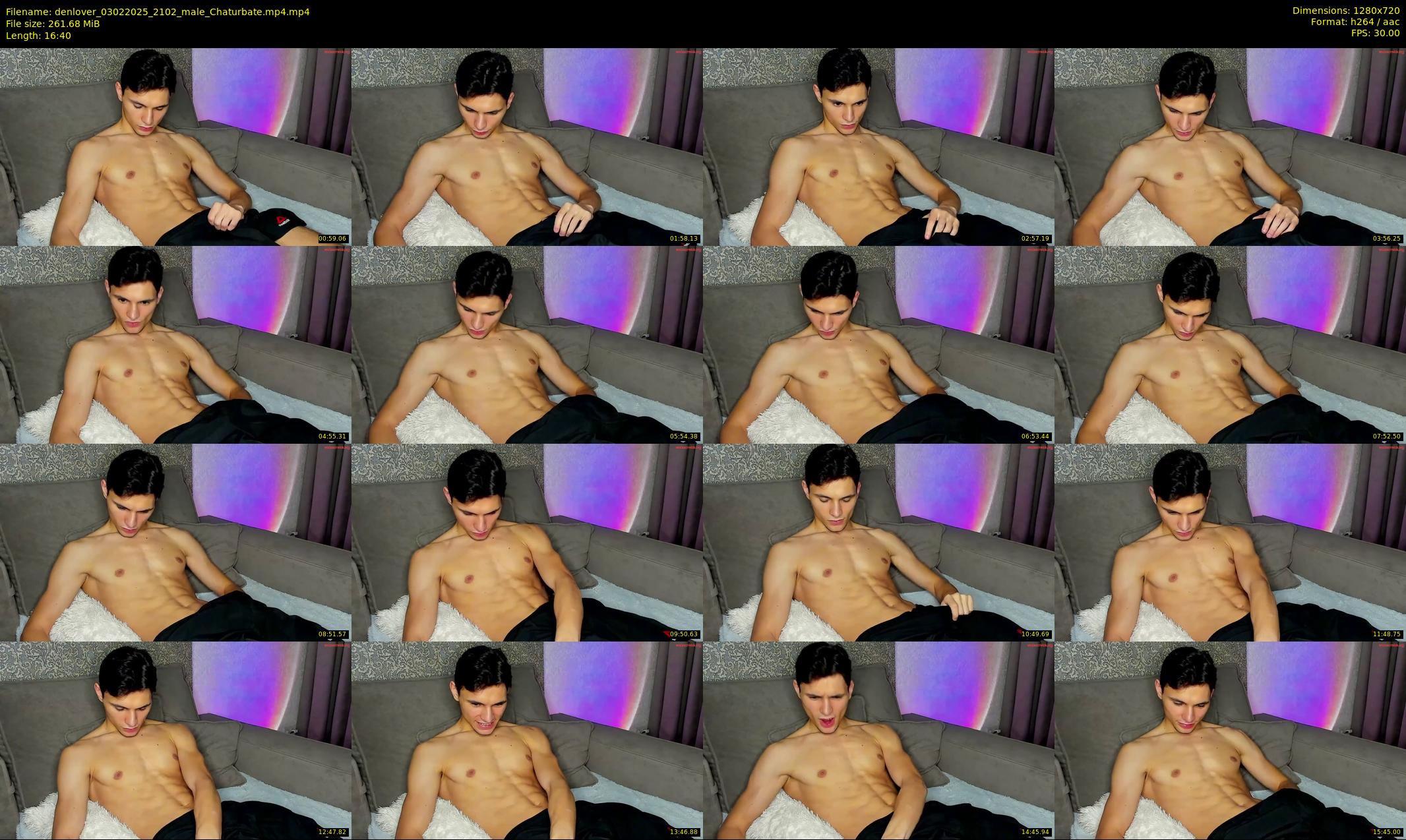 denlover — 17 minute Chaturbate male cam show recording, 720p, Feb 3, 2025