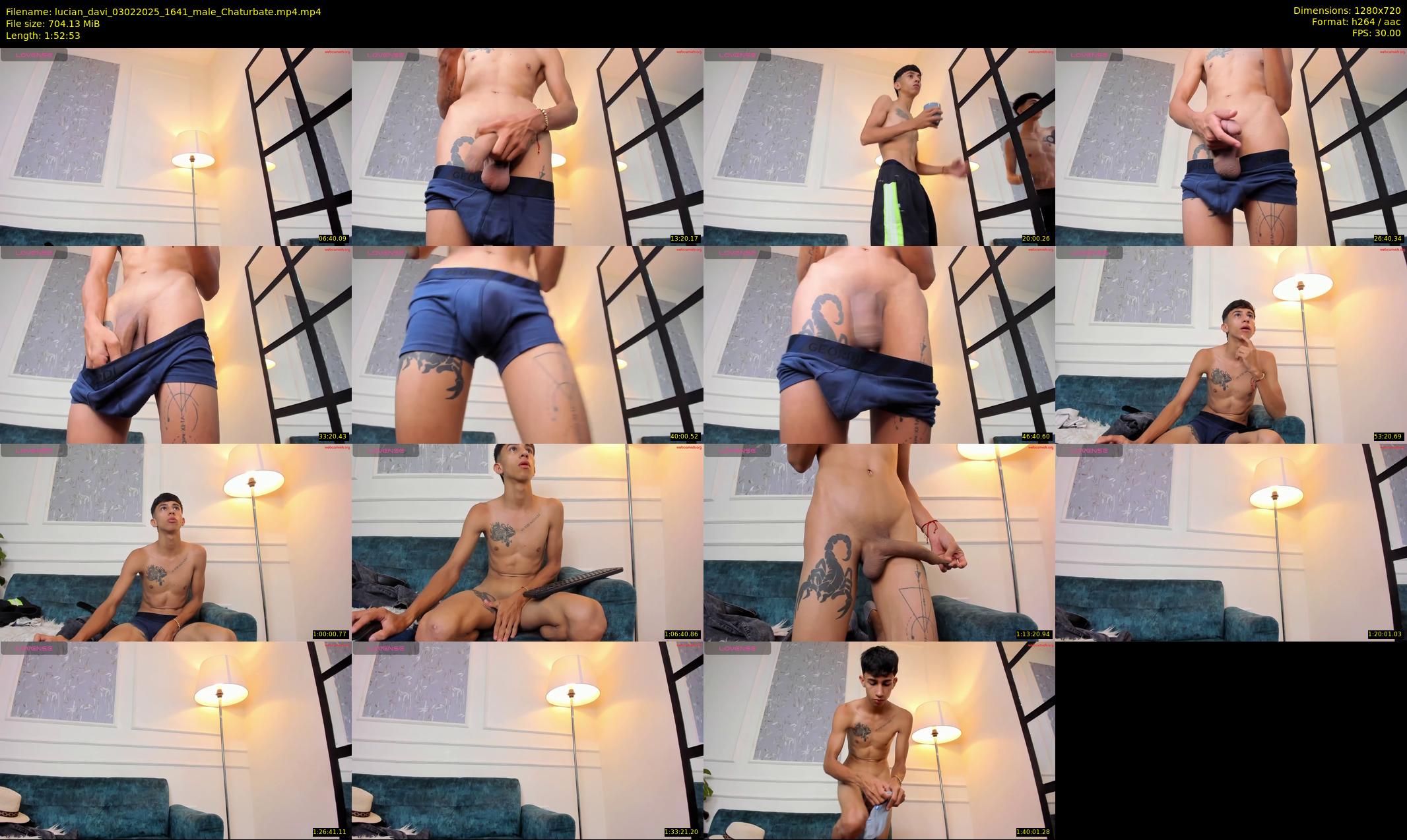lucian_davi — 113 minute Chaturbate male cam show recording, 720p, Feb 3, 2025