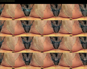 melania_browis — 13 minute Chaturbate female cam show recording, 720p, Feb 3, 2025