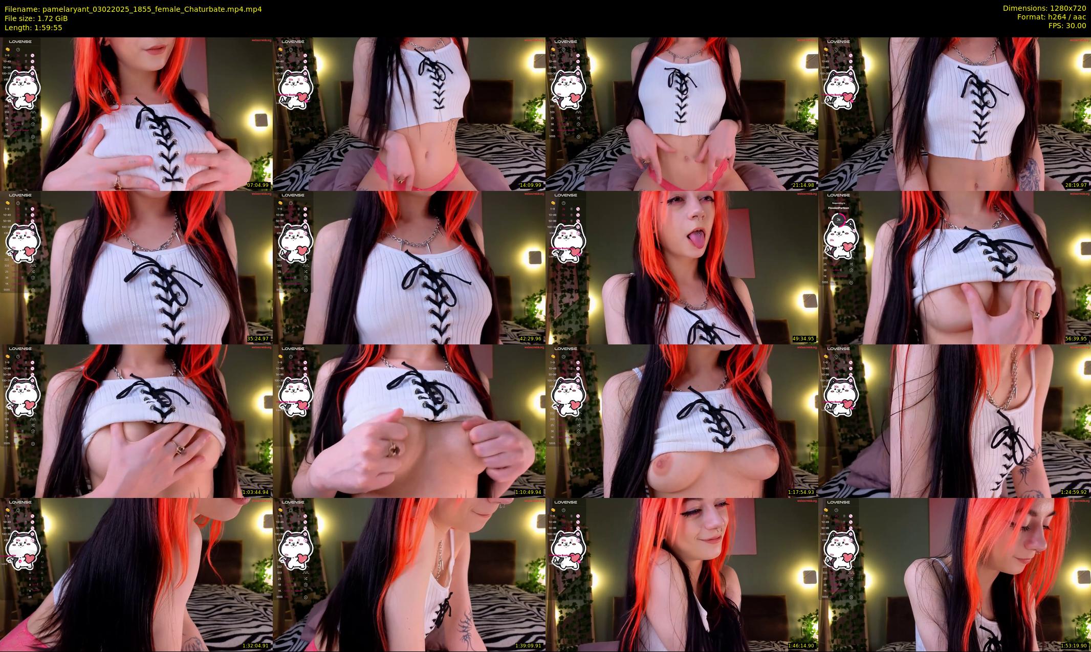 pamelaryant — 120 minute Chaturbate female cam show recording, 720p, Feb 3, 2025