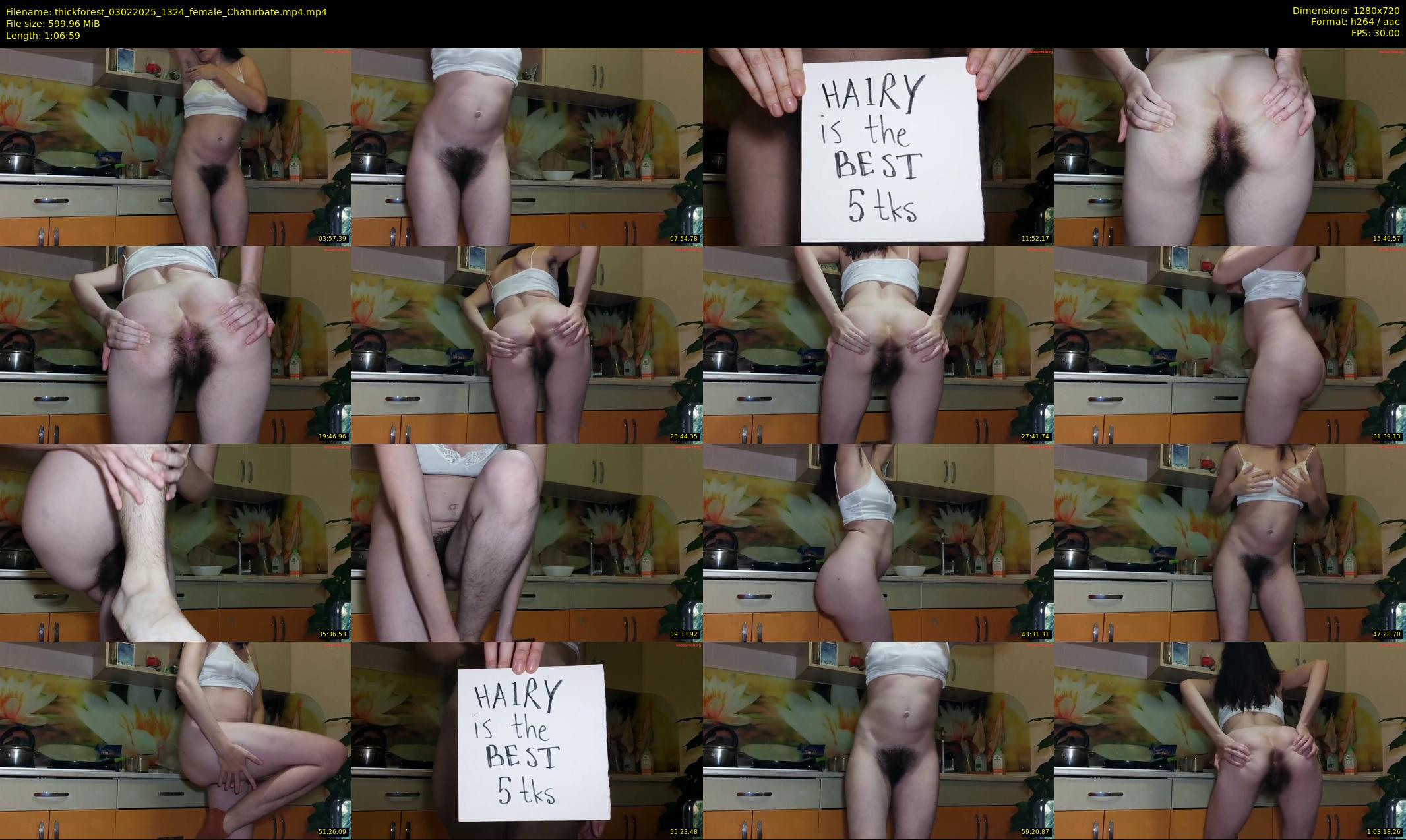 thickforest — 67 minute Chaturbate female cam show recording, 720p, Feb 3, 2025
