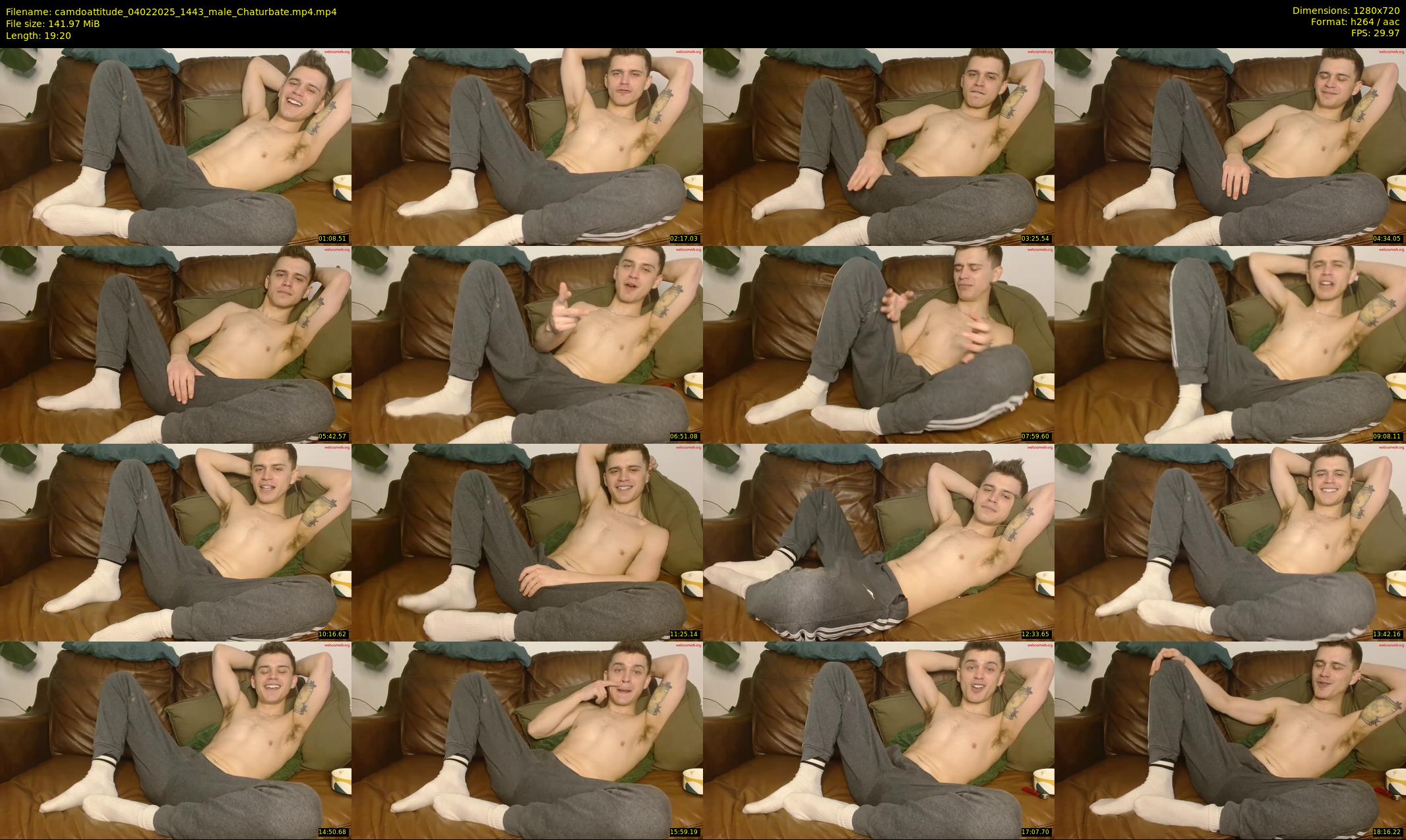 camdoattitude — 20 minute Chaturbate male cam show recording, 720p, Feb 4, 2025