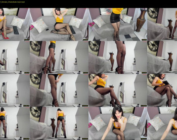 katedolly — 121 minute Chaturbate female cam show recording, 720p, Feb 4, 2025