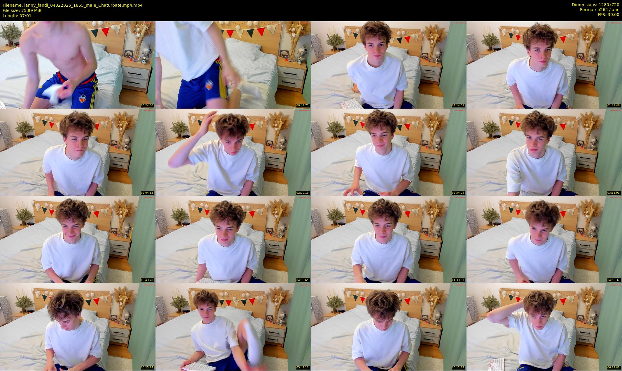 lanny_fandi — 8 minute Chaturbate male cam show recording, 720p, Feb 4, 2025