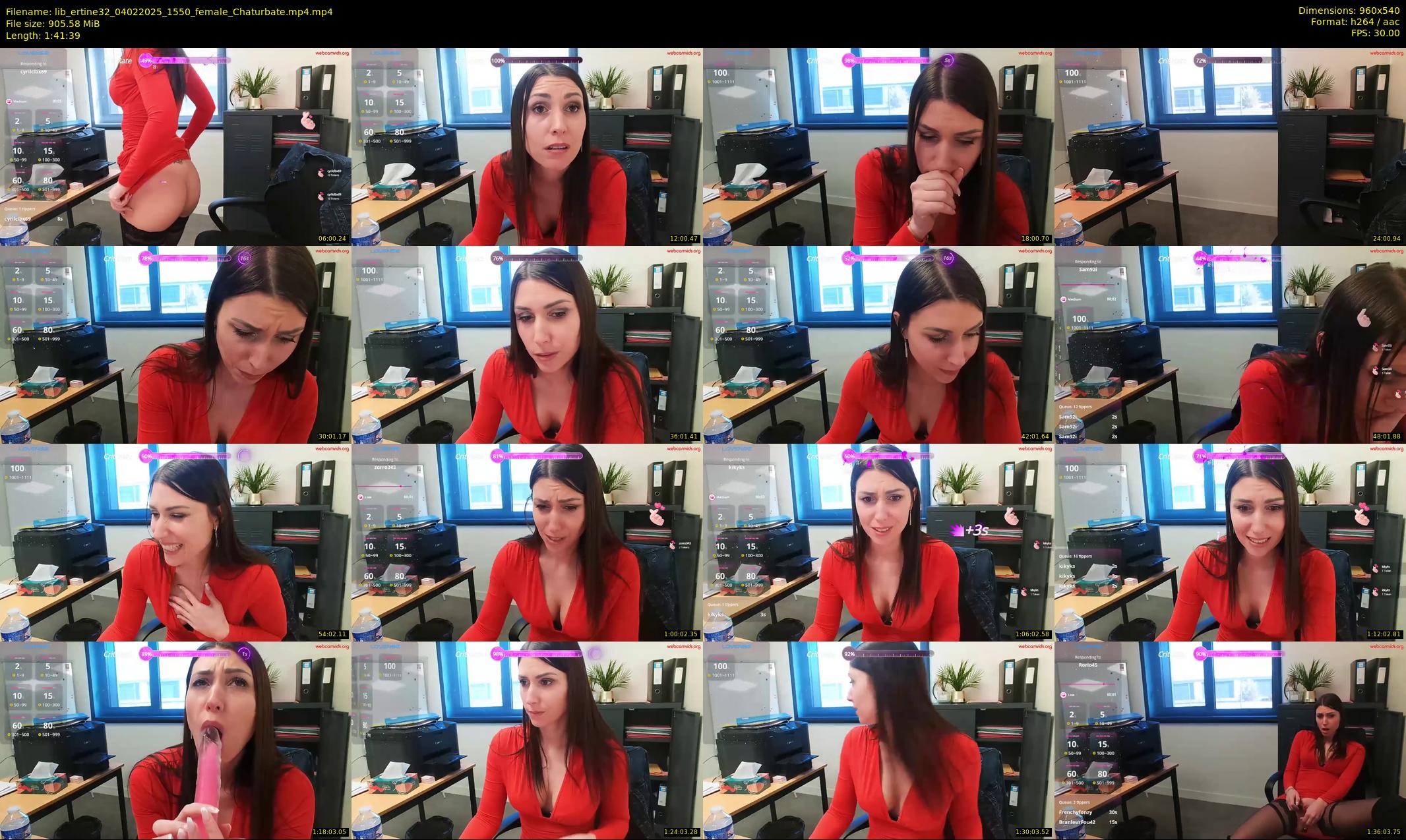 lib_ertine32 — 102 minute Chaturbate female cam show recording, 480p, Feb 4, 2025