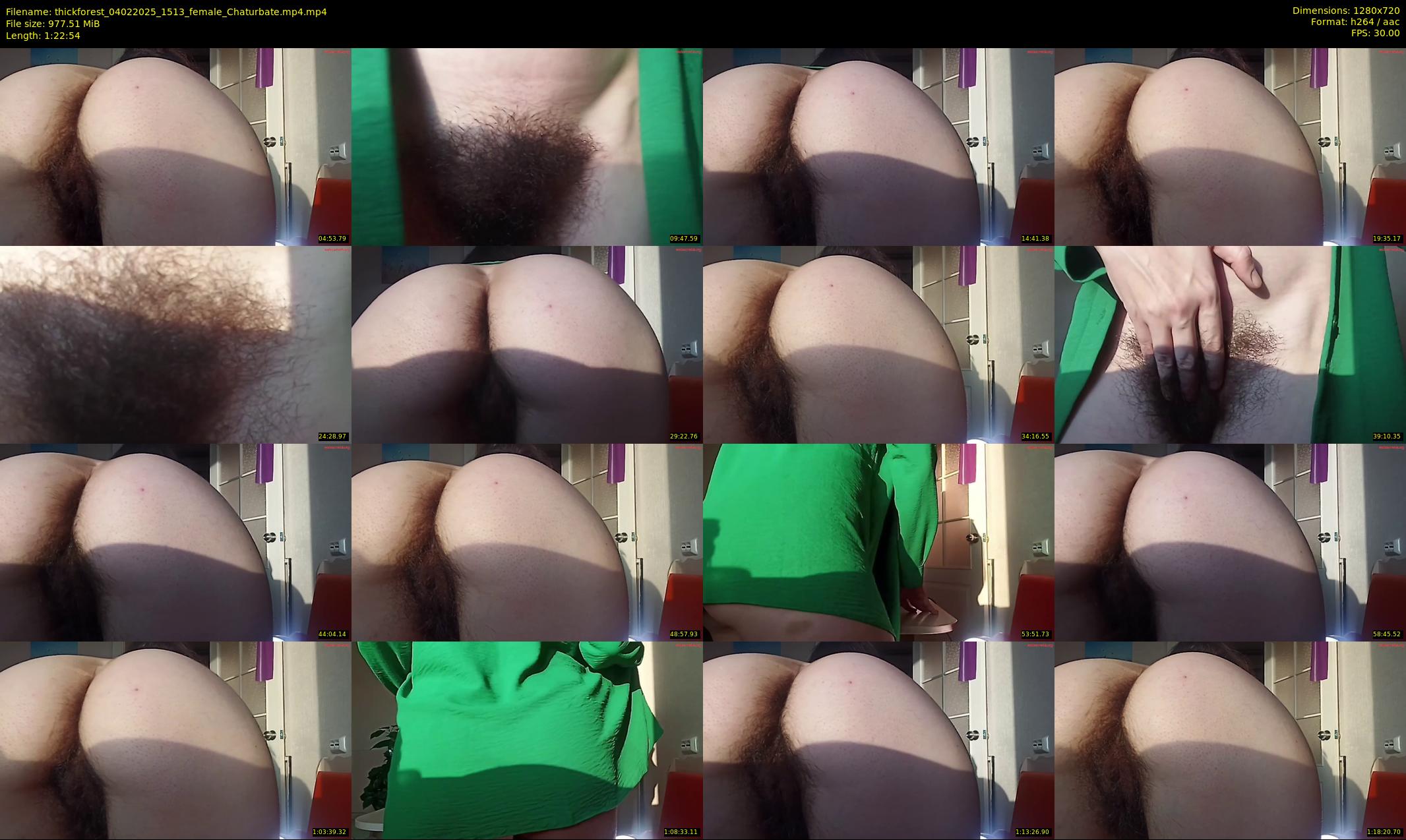 thickforest — 83 minute Chaturbate female cam show recording, 720p, Feb 4, 2025