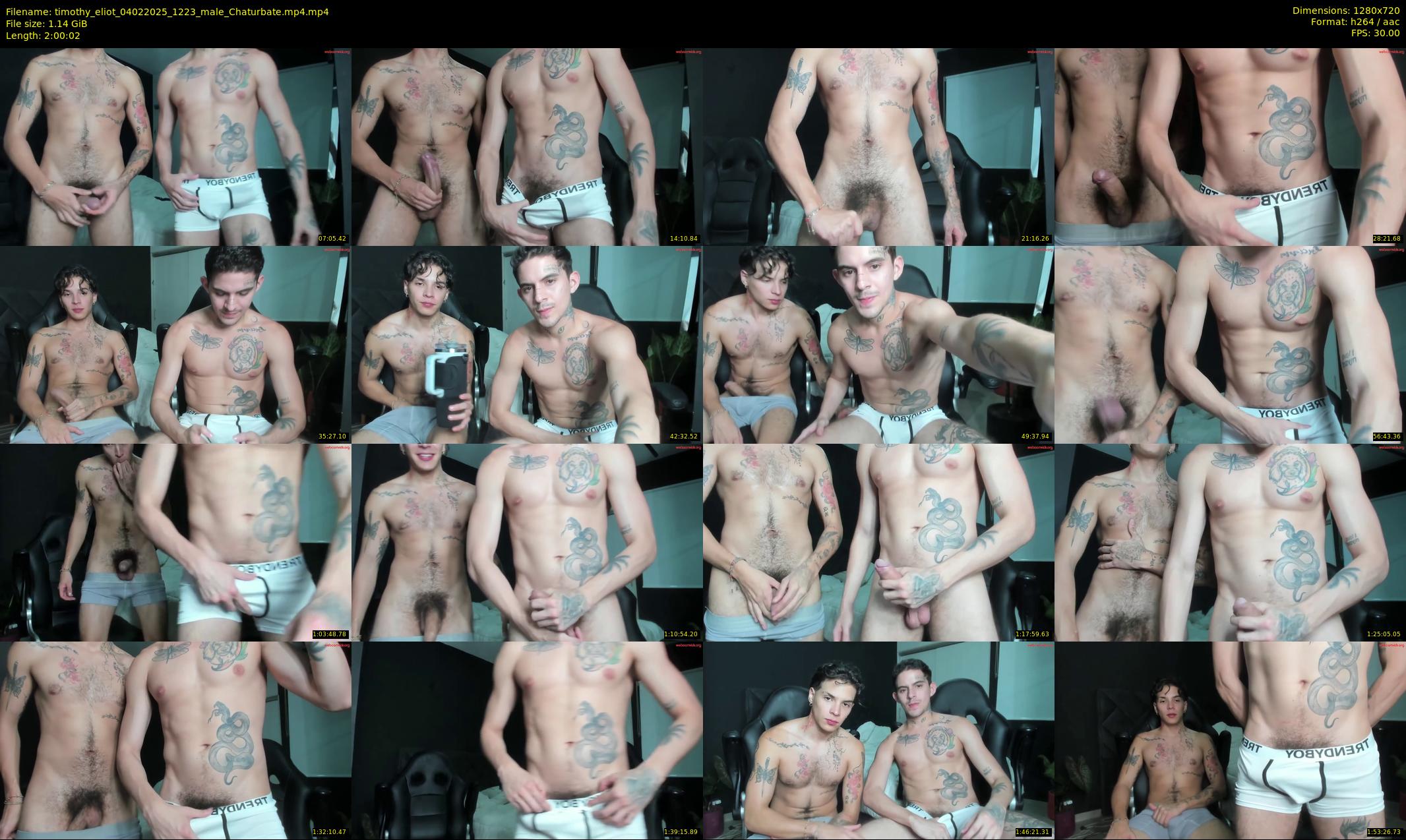 timothy_eliot — 121 minute Chaturbate male cam show recording, 720p, Feb 4, 2025