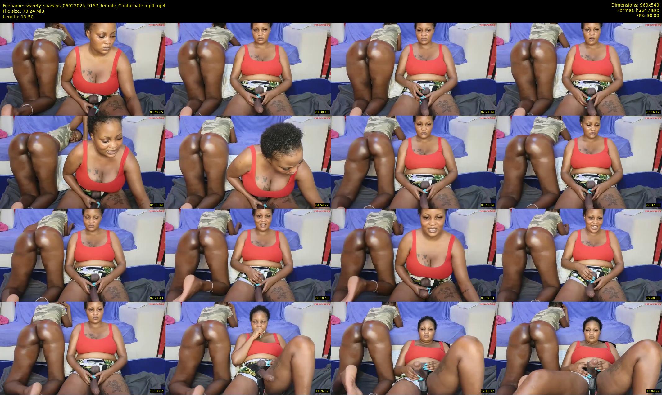 sweety_shawtys — 14 minute Chaturbate female cam show recording, 480p, Feb 6, 2025