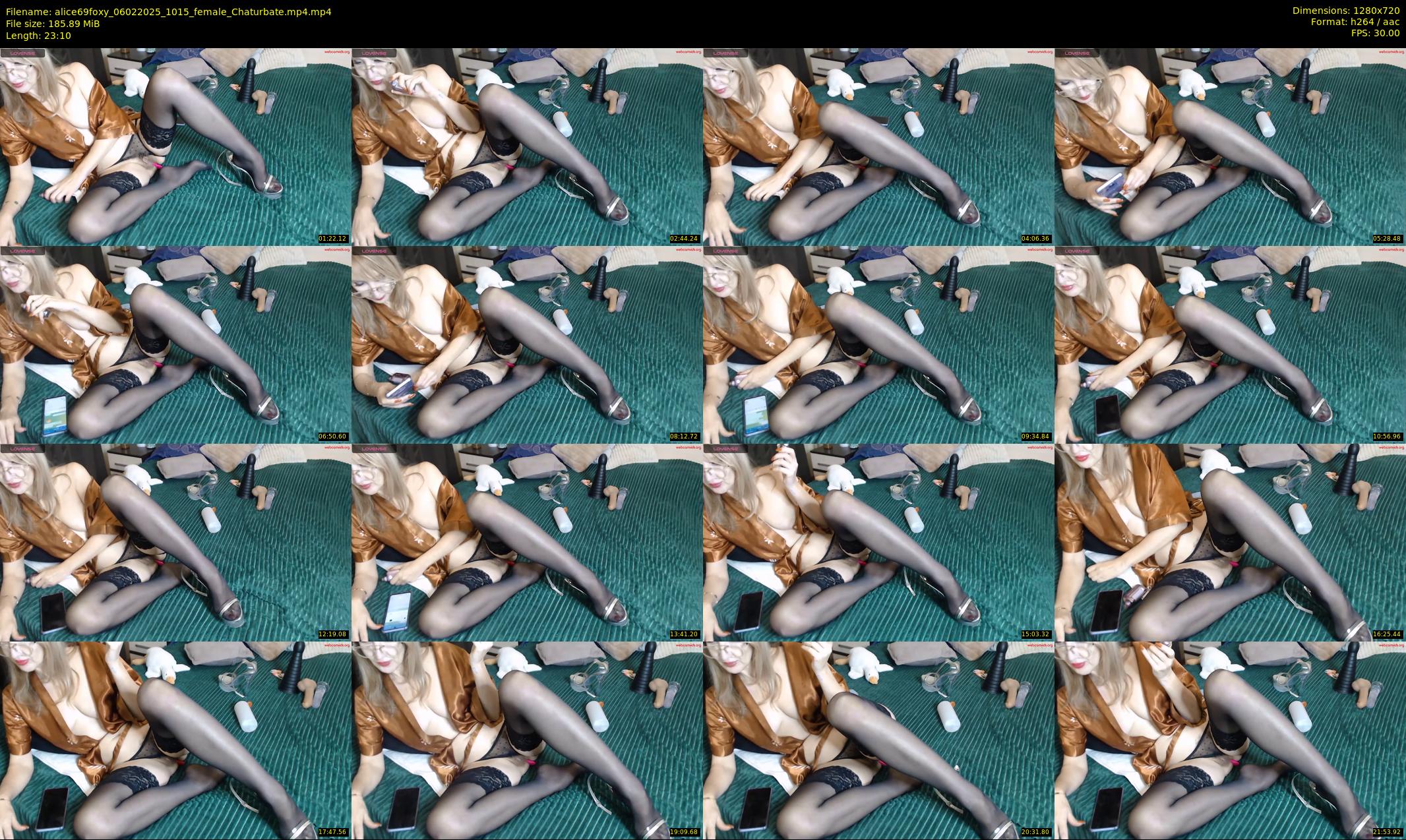 alice69foxy — 24 minute Chaturbate female cam show recording, 720p, Feb 6, 2025