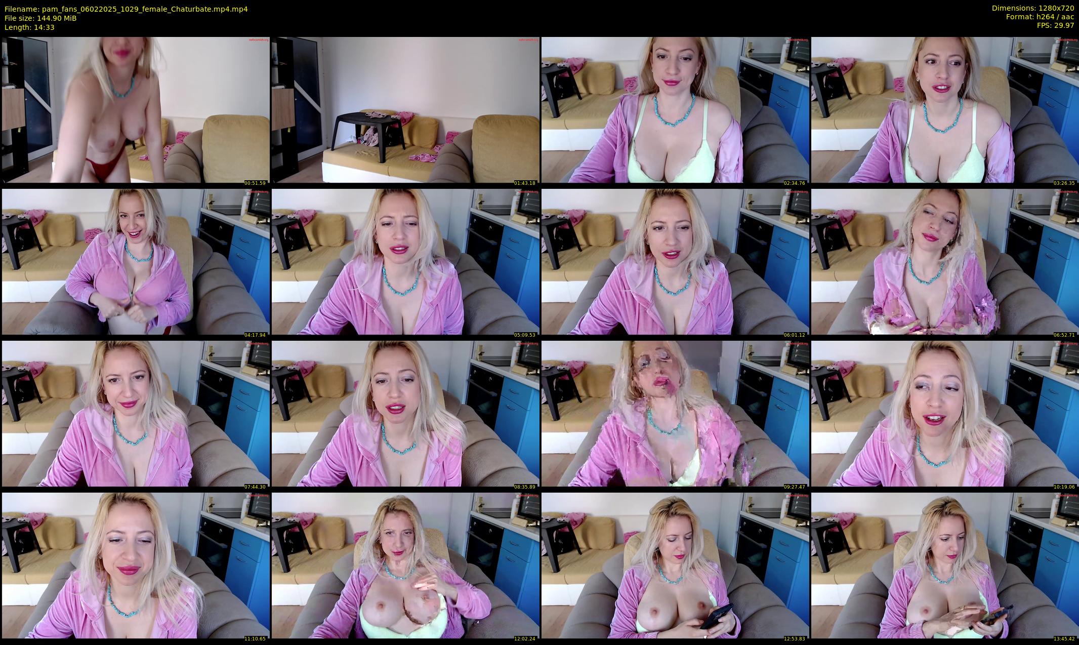 pam_fans — 15 minute Chaturbate female cam show recording, 720p, Feb 6, 2025