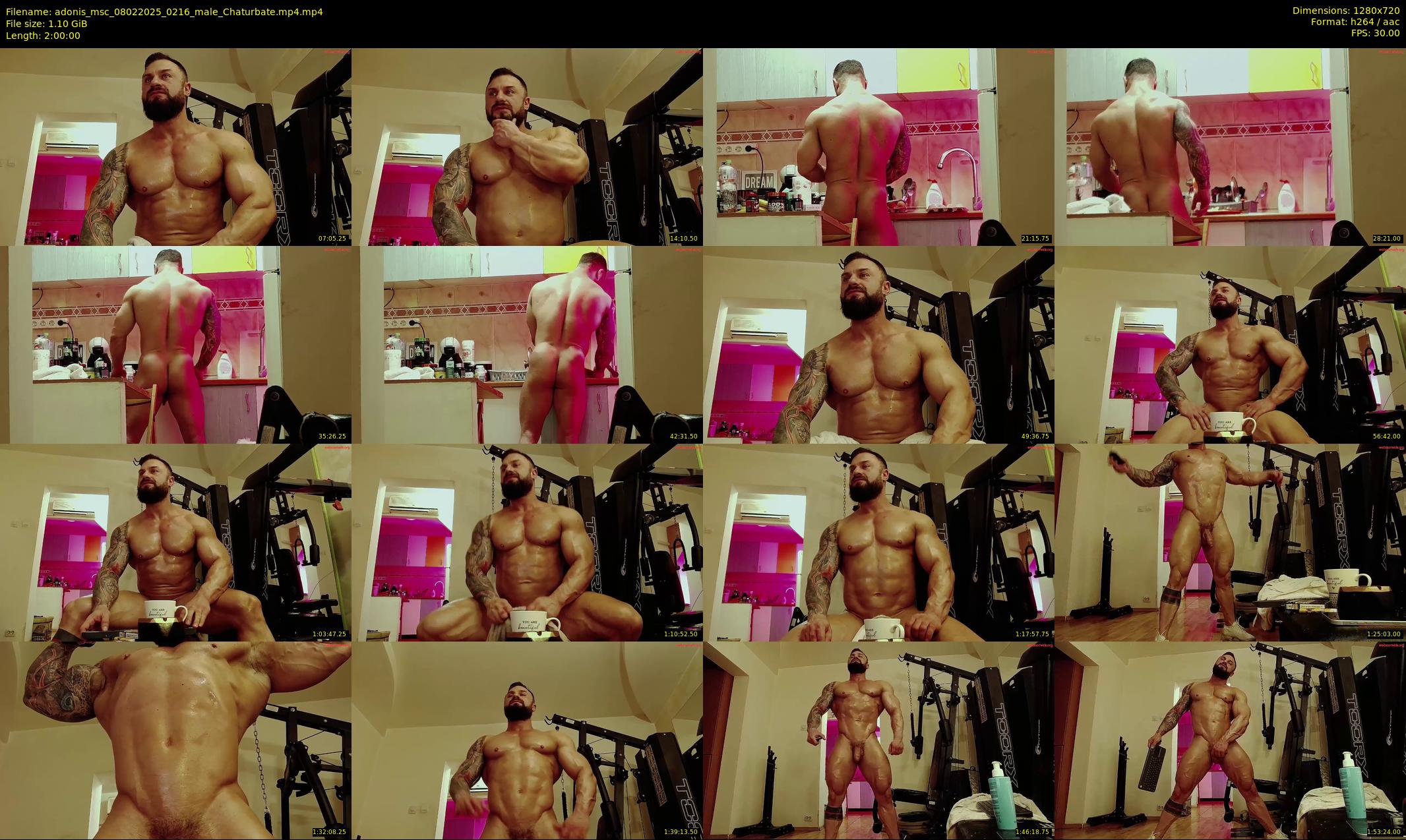 adonis_msc — 120 minute Chaturbate male cam show recording, 720p, Feb 8, 2025