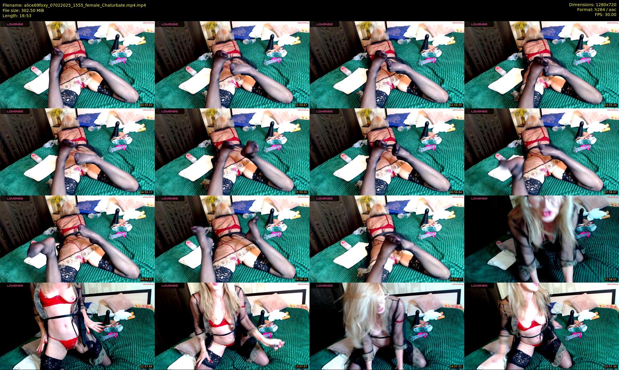 alice69foxy — 17 minute Chaturbate female cam show recording, 720p, Feb 7, 2025