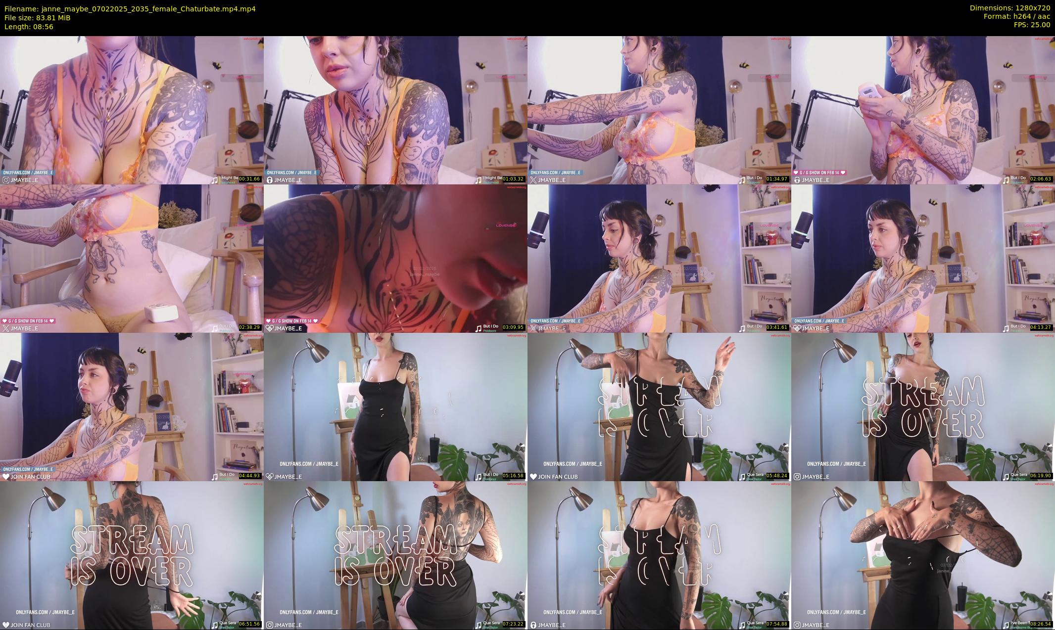 janne_maybe — 9 minute Chaturbate female cam show recording, 720p, Feb 7, 2025