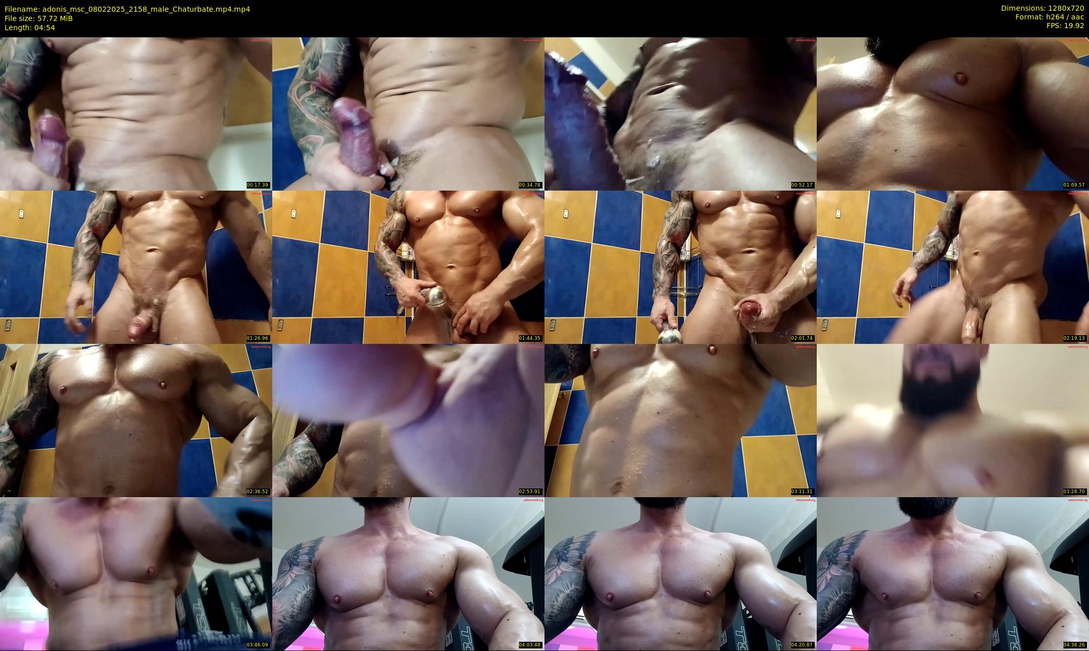 adonis_msc — 5 minute Chaturbate male cam show recording, 720p, Feb 8, 2025