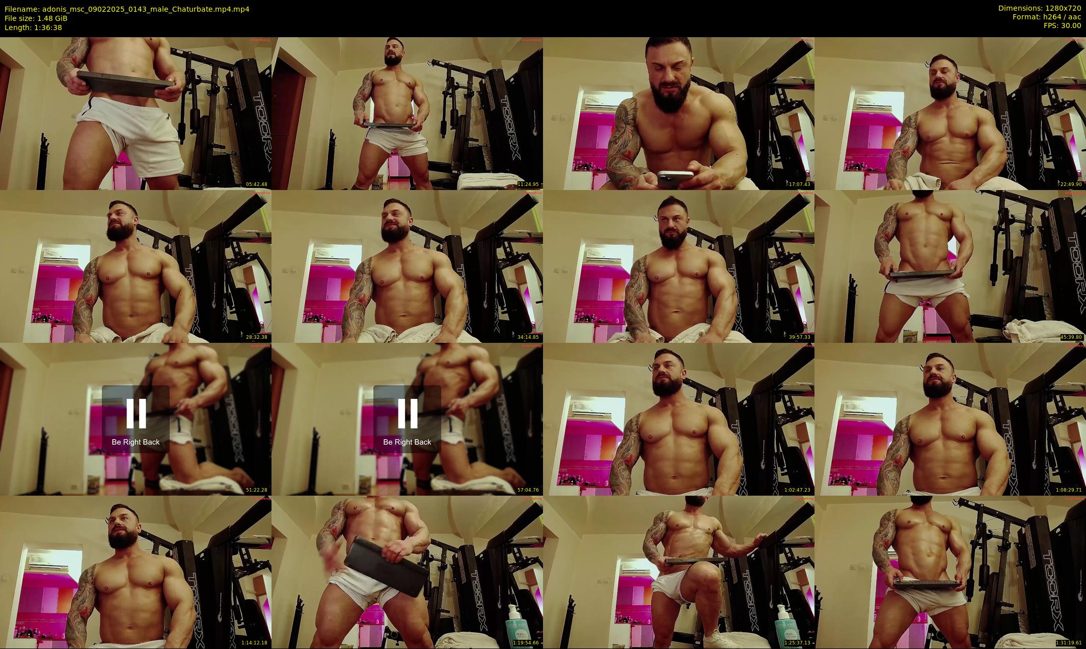 adonis_msc — 97 minute Chaturbate male cam show recording, 720p, Feb 9, 2025
