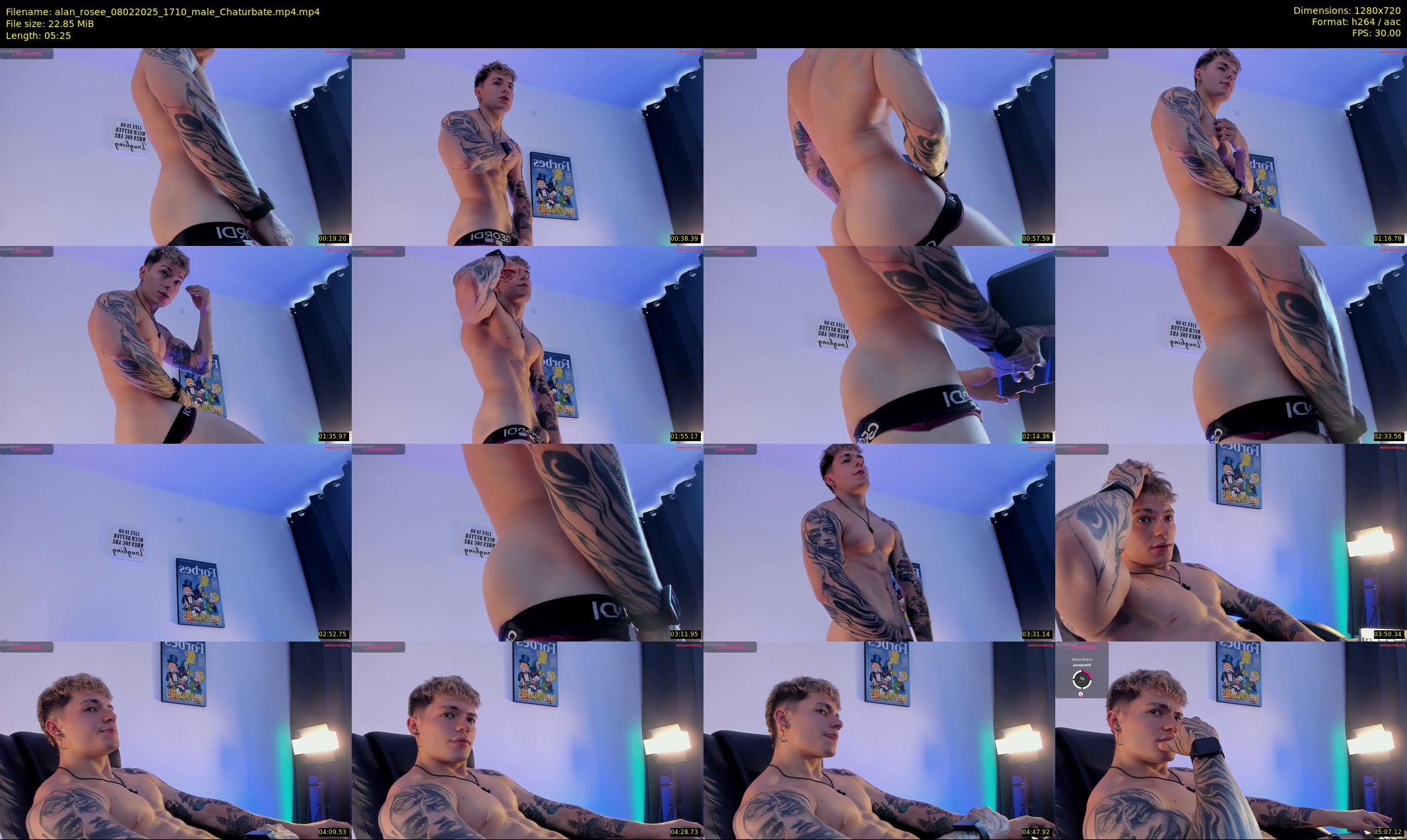 alan_rosee — 6 minute Chaturbate male cam show recording, 720p, Feb 8, 2025