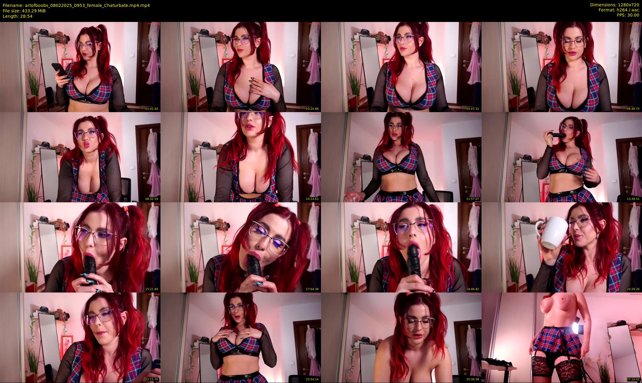 artofboobs — 29 minute Chaturbate female cam show recording, 720p, Feb 8, 2025