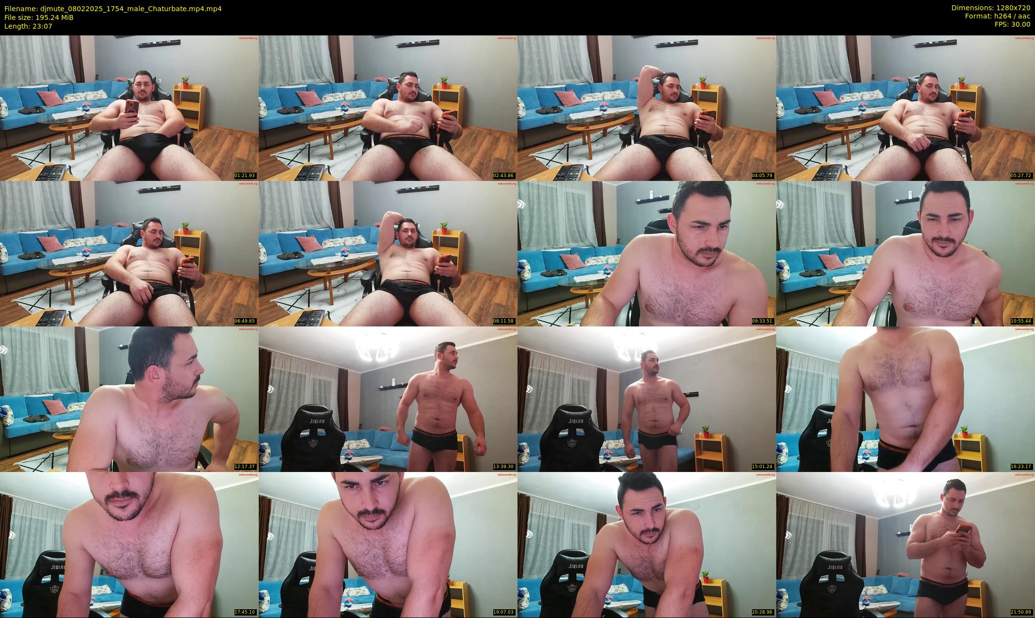 djmute — 24 minute Chaturbate male cam show recording, 720p, Feb 8, 2025