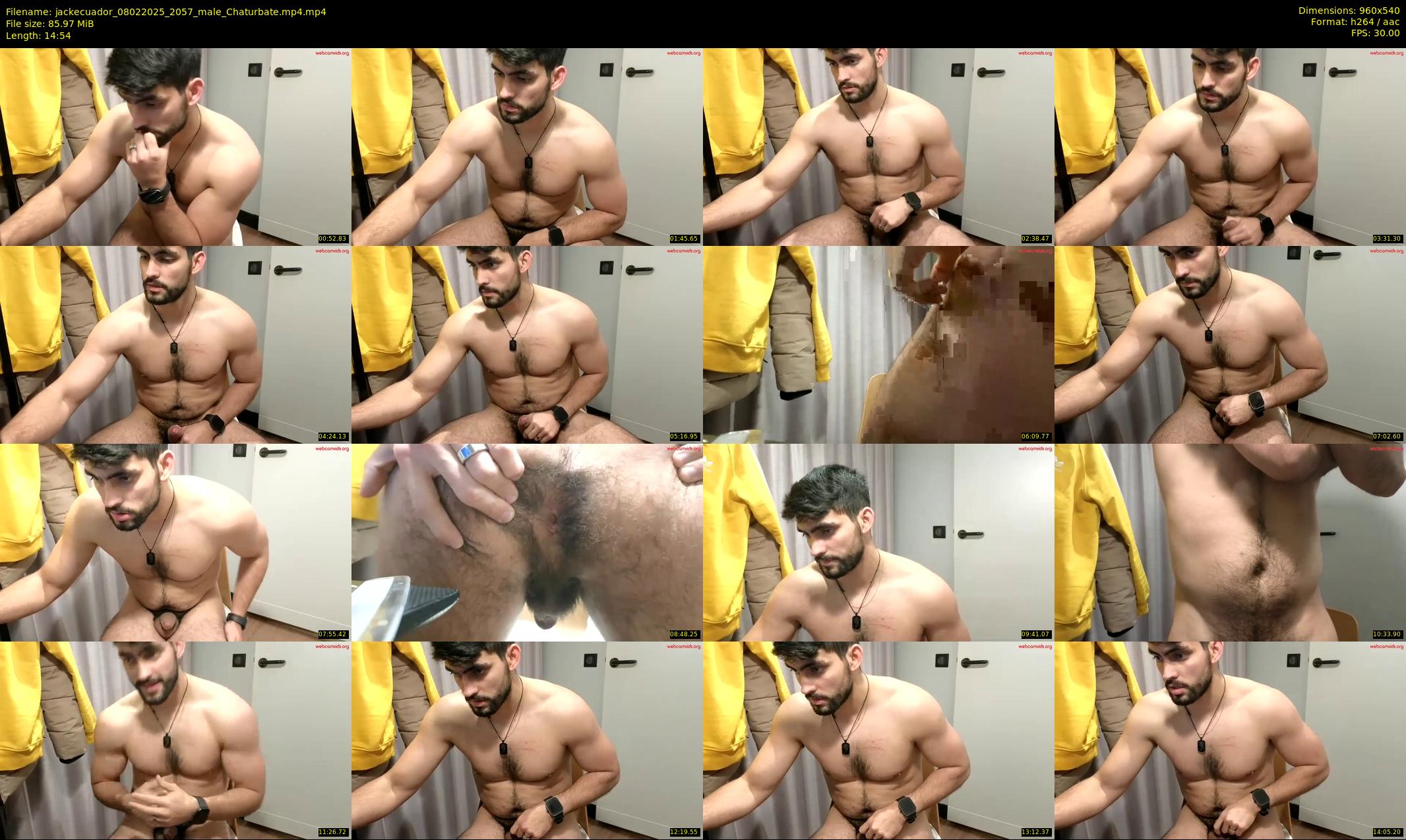 jackecuador — 15 minute Chaturbate male cam show recording, 480p, Feb 8, 2025