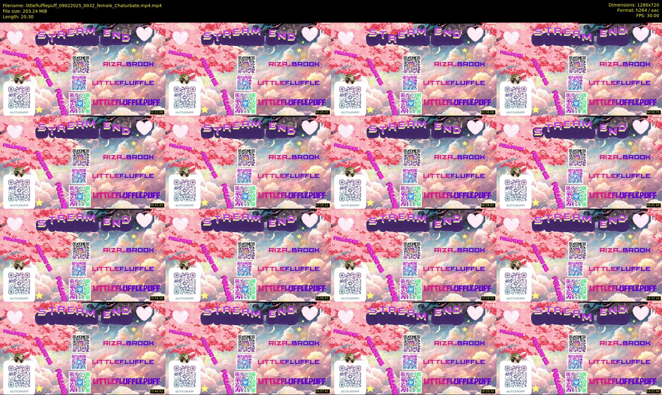 littleflufflepuff — 21 minute Chaturbate female cam show recording, 720p, Feb 9, 2025