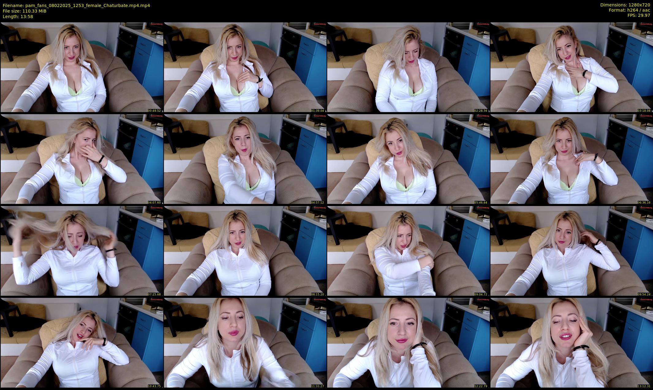 pam_fans — 14 minute Chaturbate female cam show recording, 720p, Feb 8, 2025