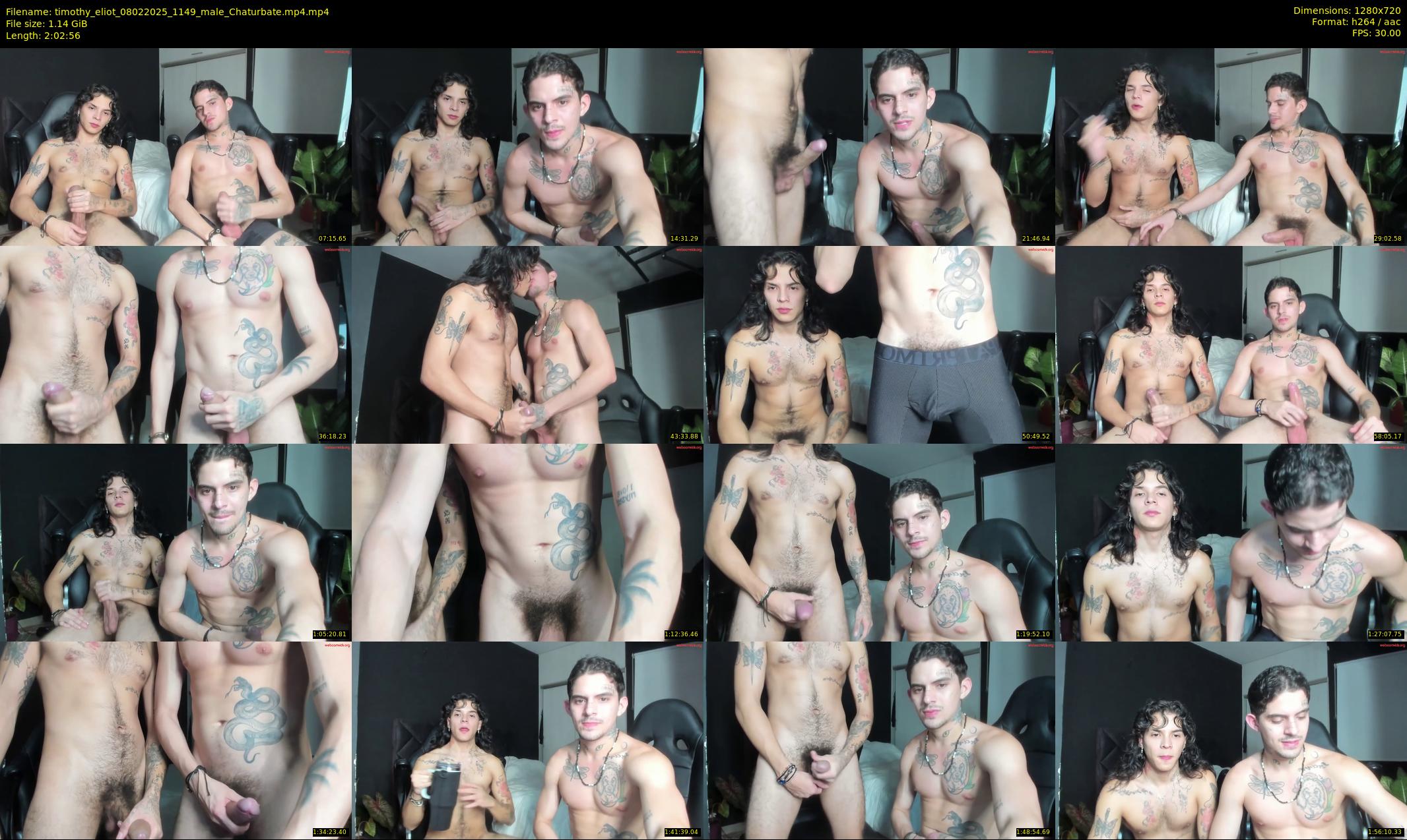 timothy_eliot — 123 minute Chaturbate male cam show recording, 720p, Feb 8, 2025