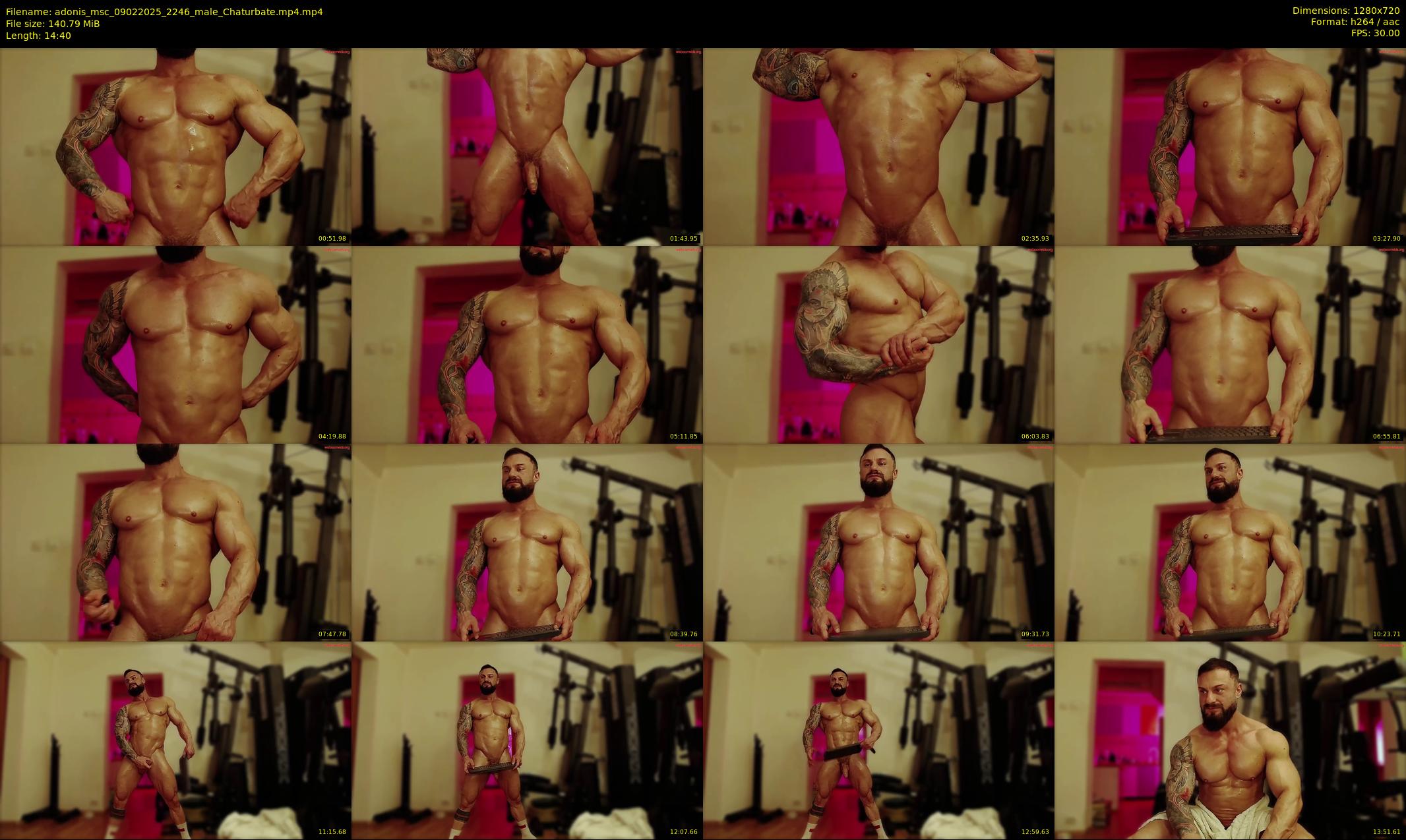 adonis_msc — 15 minute Chaturbate male cam show recording, 720p, Feb 9, 2025