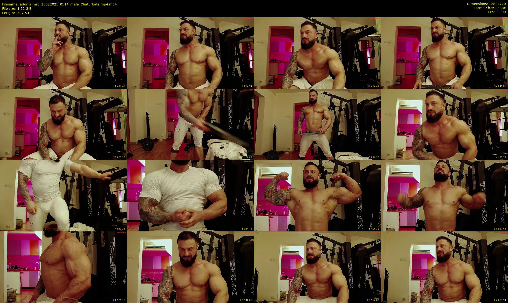 adonis_msc — 88 minute Chaturbate male cam show recording, 720p, Feb 10, 2025