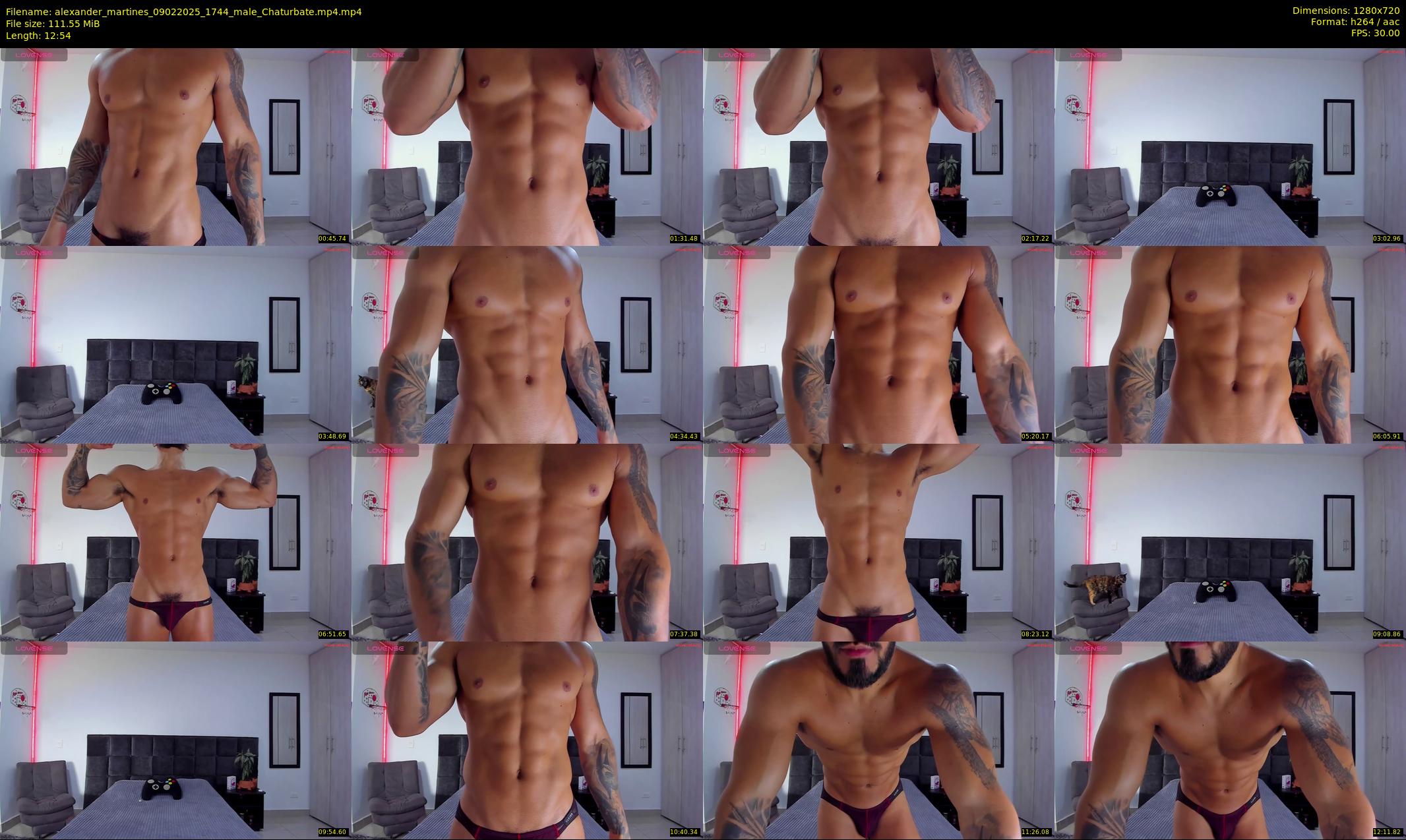 alexander_martines — 13 minute Chaturbate male cam show recording, 720p, Feb 9, 2025