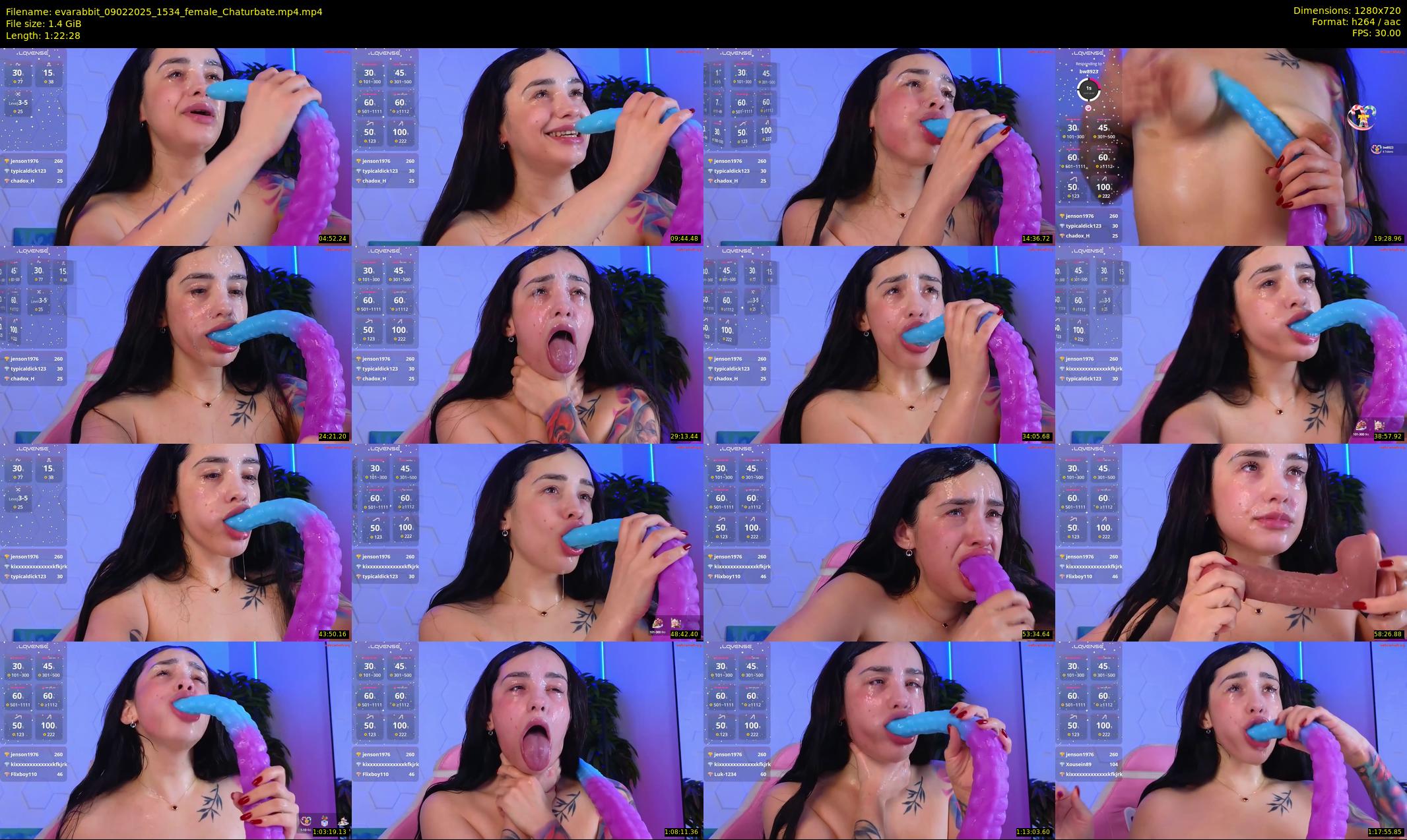 evarabbit — 83 minute Chaturbate female cam show recording, 720p, Feb 9, 2025