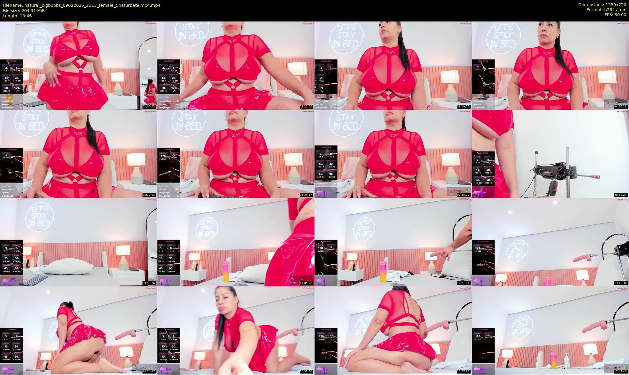 natural_bigboobs — 19 minute Chaturbate female cam show recording, 720p, Feb 9, 2025