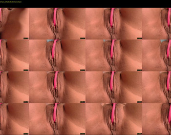 pvssi_ — 10 minute Chaturbate female cam show recording, 720p, Feb 10, 2025