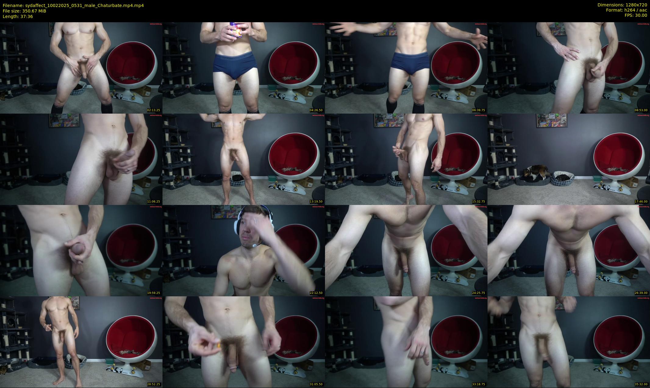 sydaffect — 38 minute Chaturbate male cam show recording, 720p, Feb 10, 2025