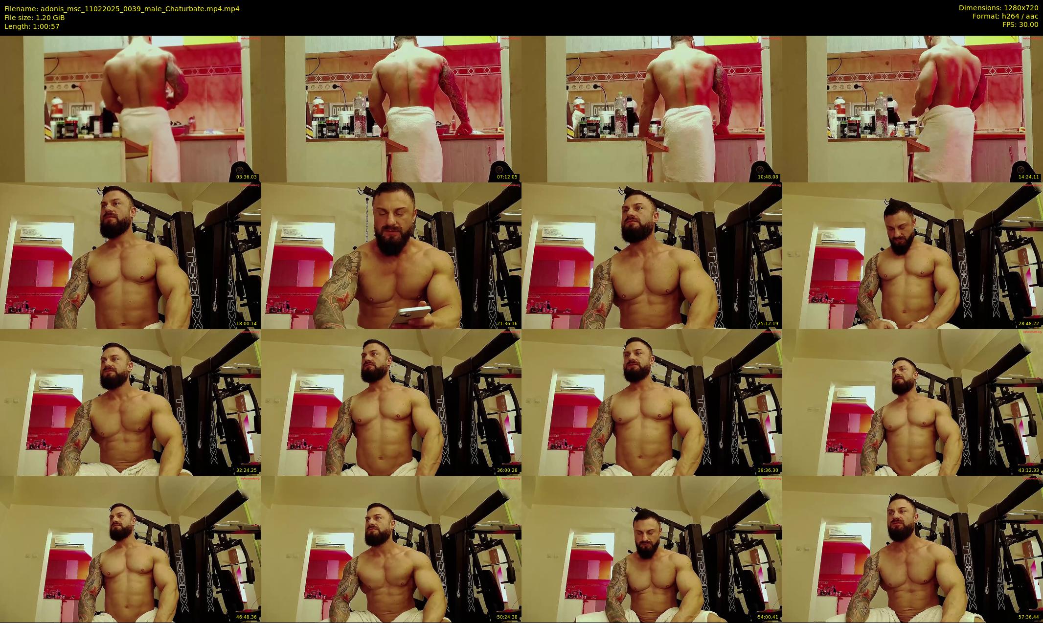 adonis_msc — 61 minute Chaturbate male cam show recording, 720p, Feb 11, 2025