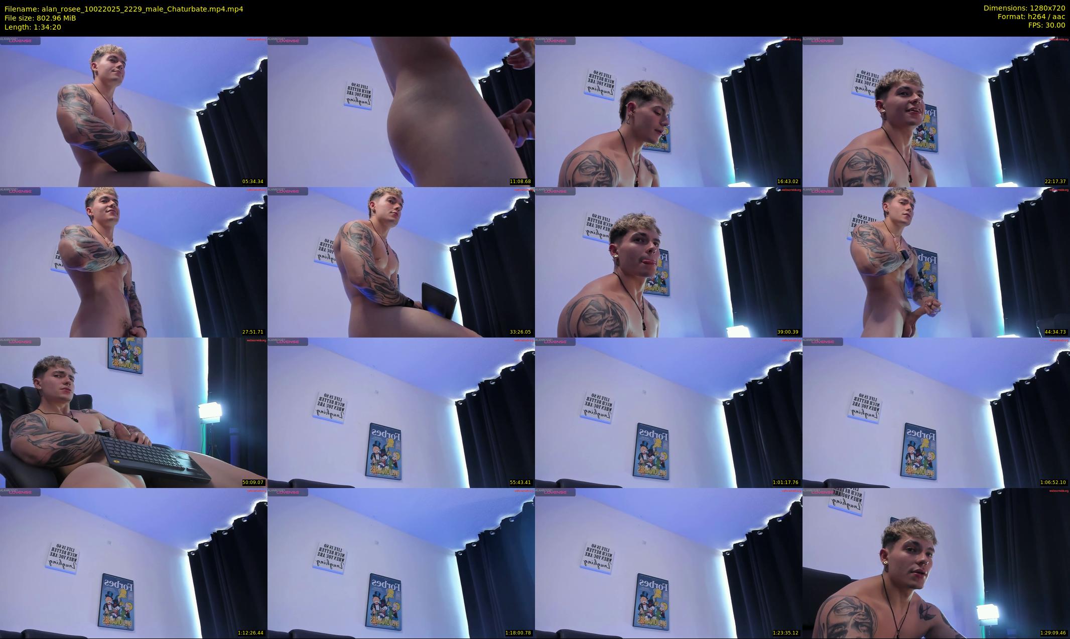 alan_rosee — 95 minute Chaturbate male cam show recording, 720p, Feb 10, 2025