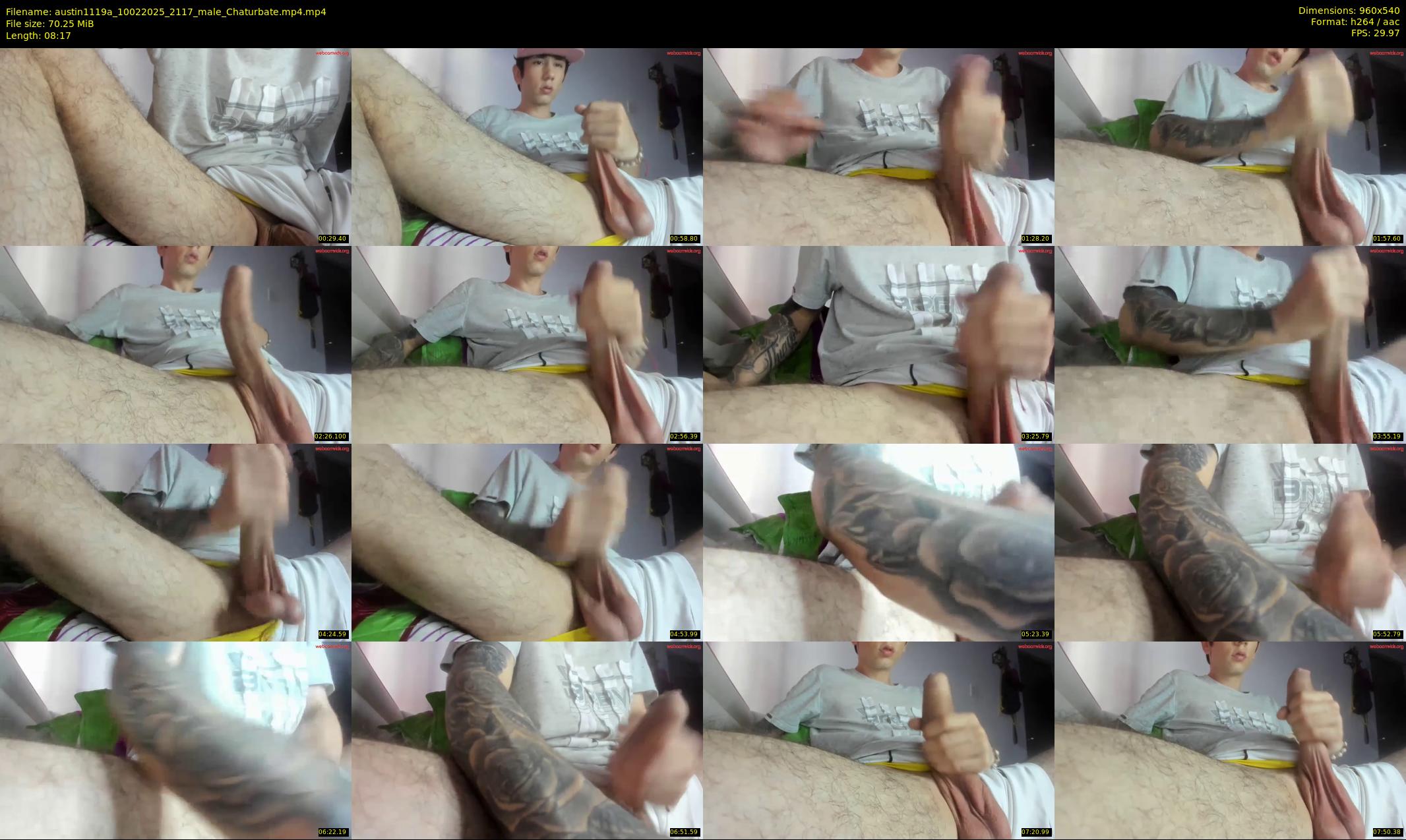 austin1119a — 9 minute Chaturbate male cam show recording, 480p, Feb 10, 2025