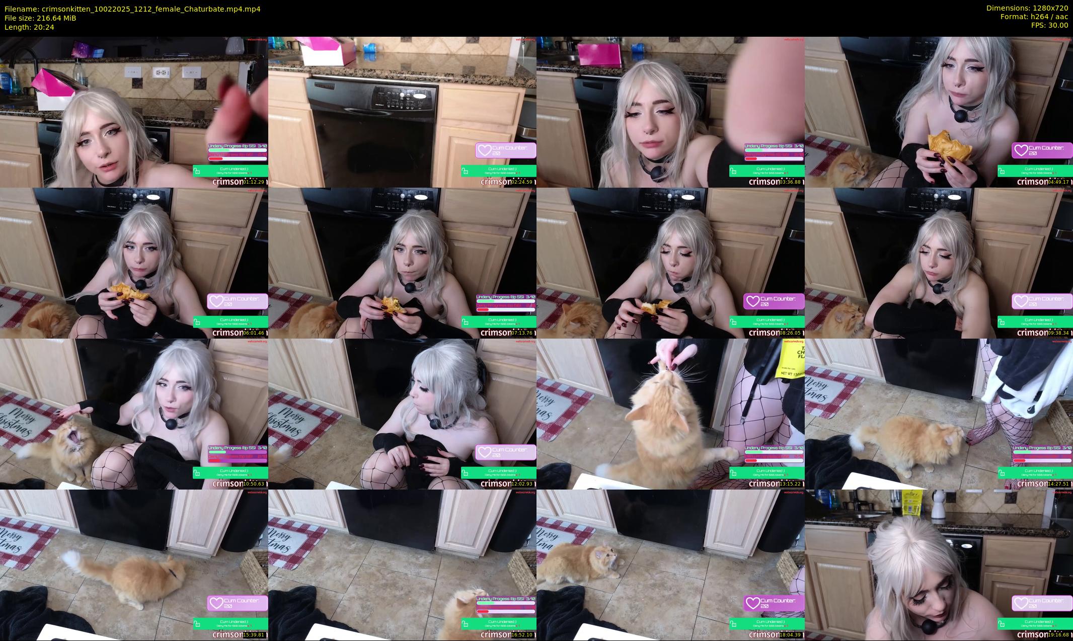 crimsonkitten — 21 minute Chaturbate female cam show recording, 720p, Feb 10, 2025