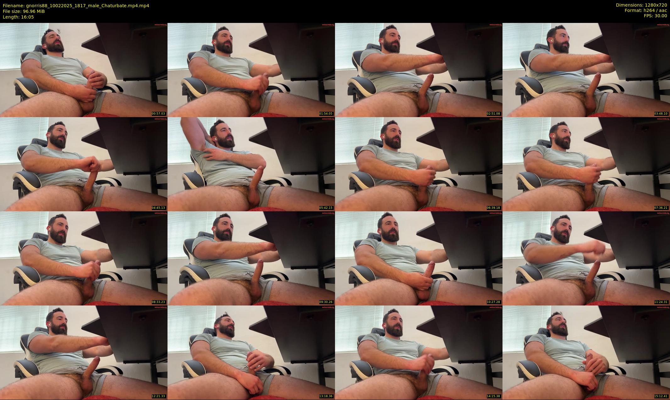gnorris88 — 17 minute Chaturbate male cam show recording, 720p, Feb 10, 2025