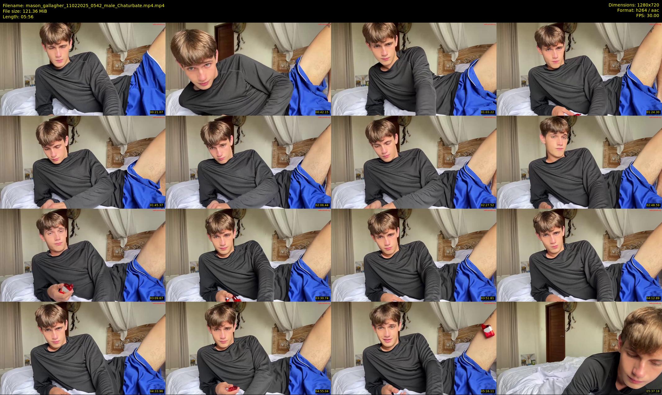 mason_gallagher — 6 minute Chaturbate male cam show recording, 720p, Feb 11, 2025