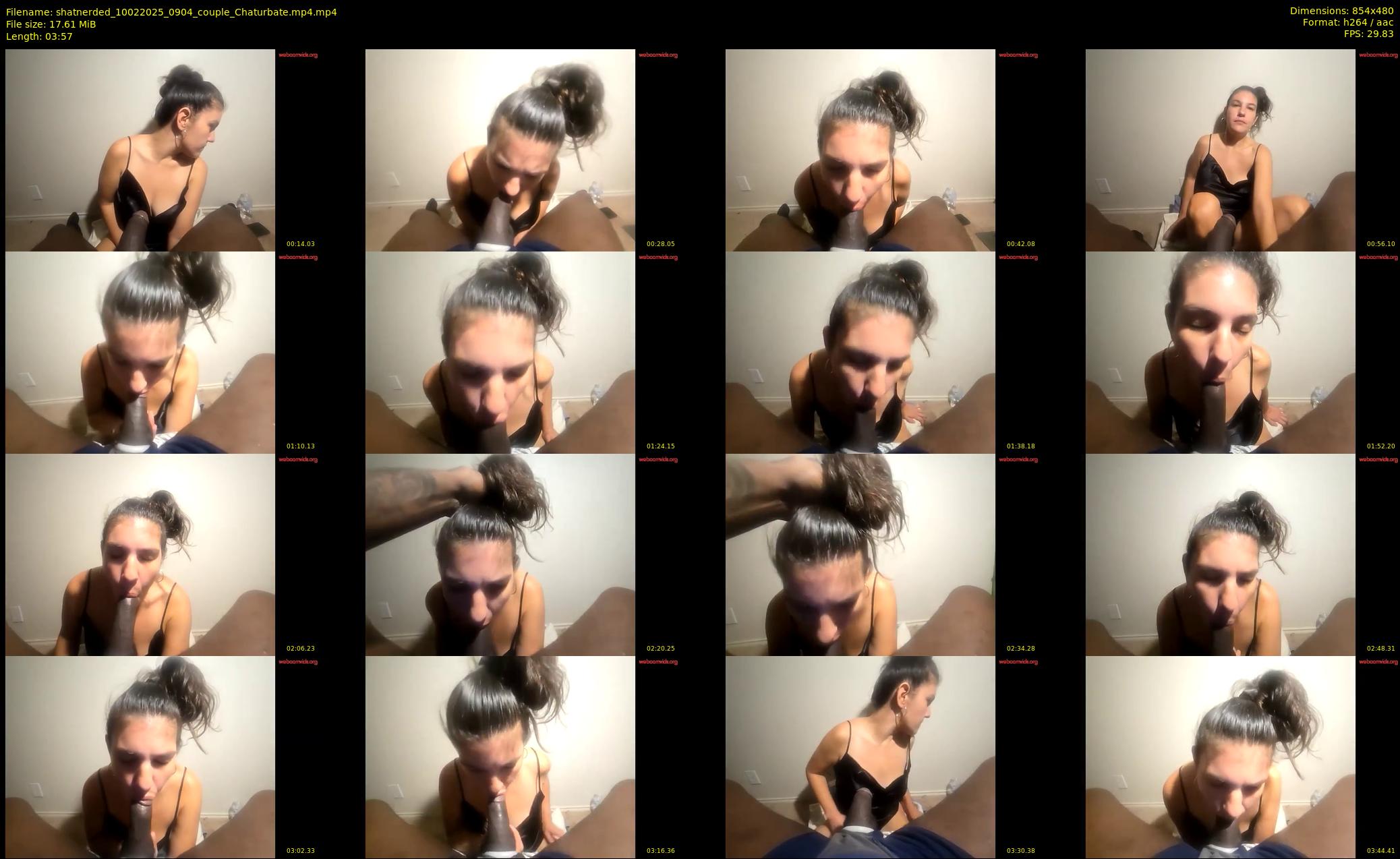 shatnerded — 4 minute Chaturbate couple cam show recording, 480p, Feb 10, 2025