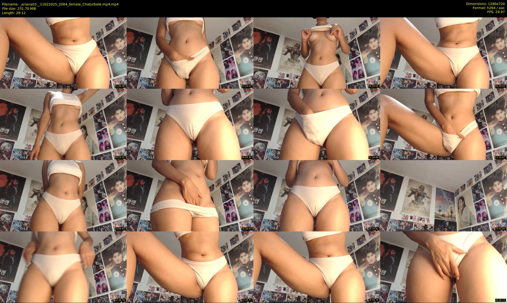 _ariana03_ — 29 minute Chaturbate female cam show recording, 720p, Feb 11, 2025