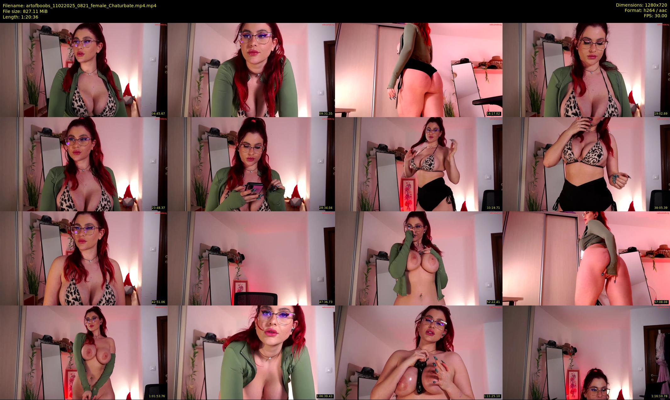 artofboobs — 81 minute Chaturbate female cam show recording, 720p, Feb 11, 2025