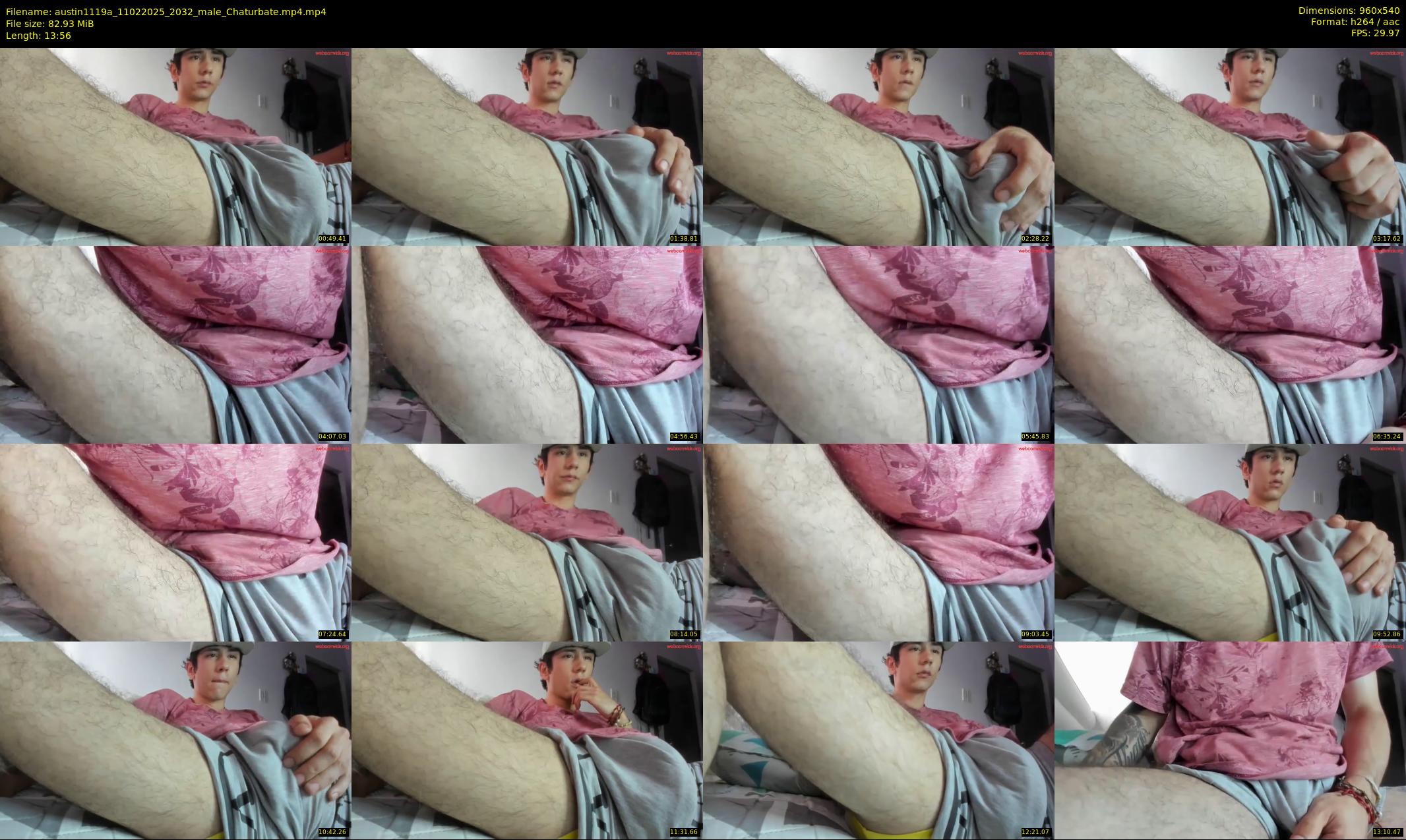 austin1119a — 14 minute Chaturbate male cam show recording, 480p, Feb 11, 2025