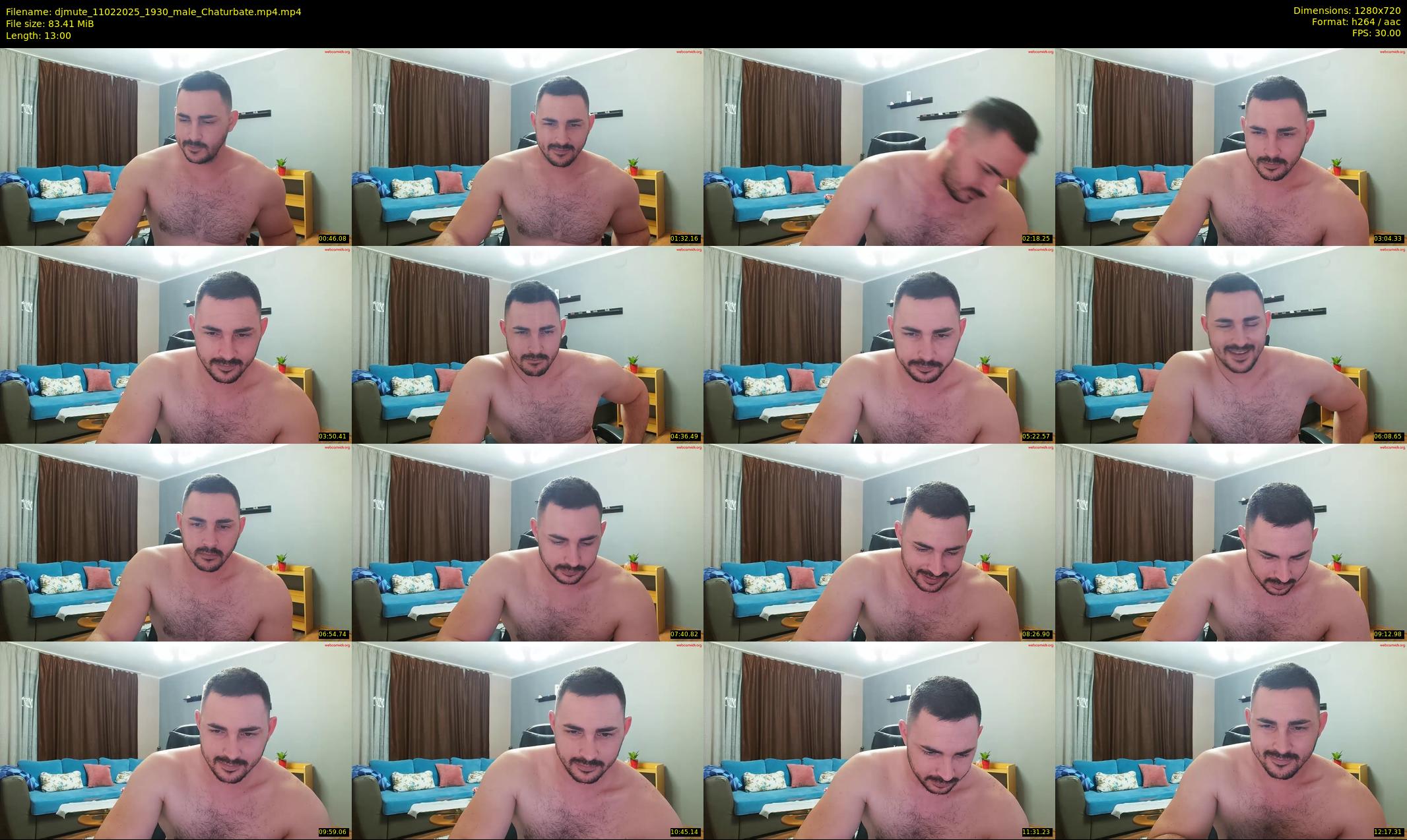 djmute — 13 minute Chaturbate male cam show recording, 720p, Feb 11, 2025