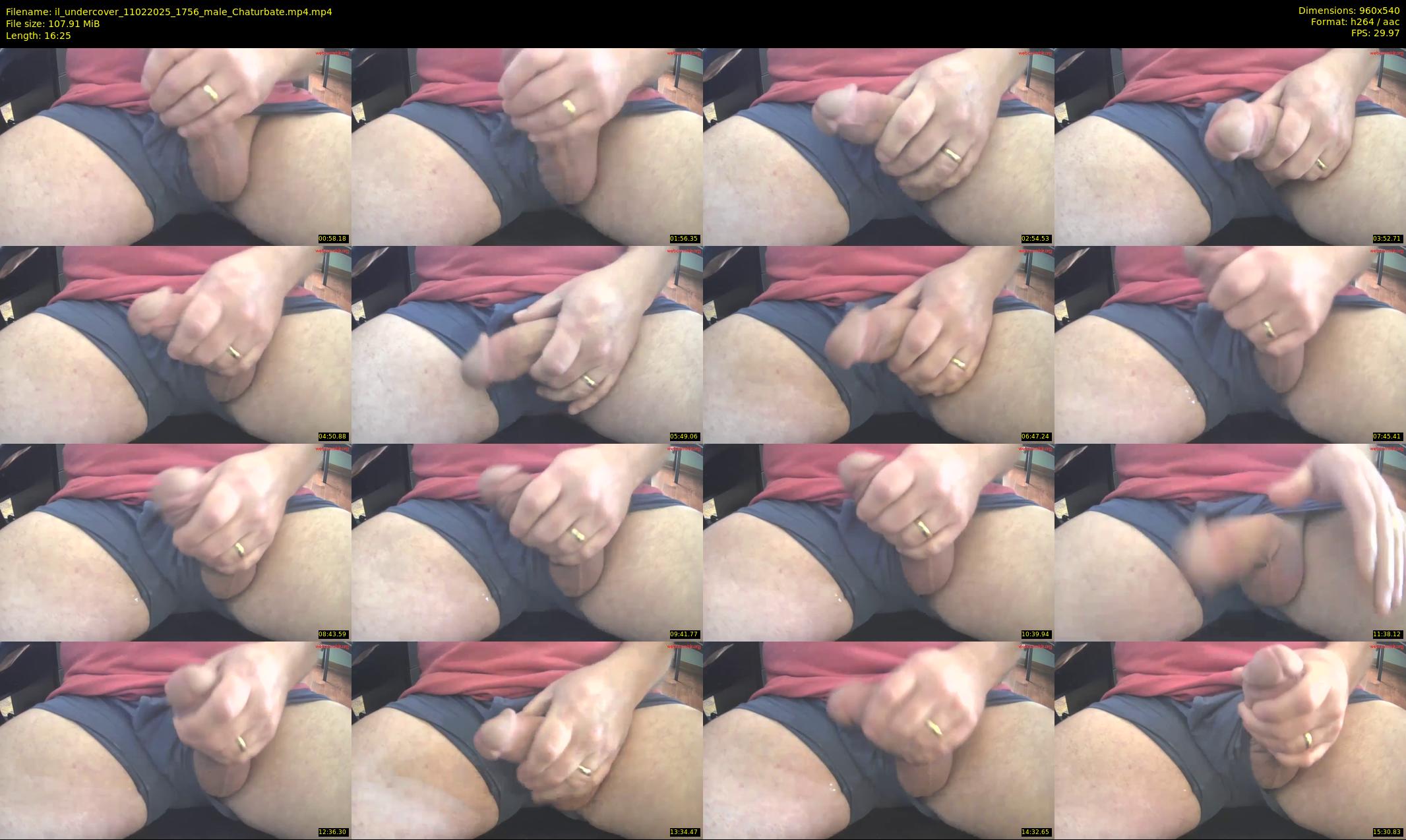 il_undercover — 17 minute Chaturbate male cam show recording, 480p, Feb 11, 2025