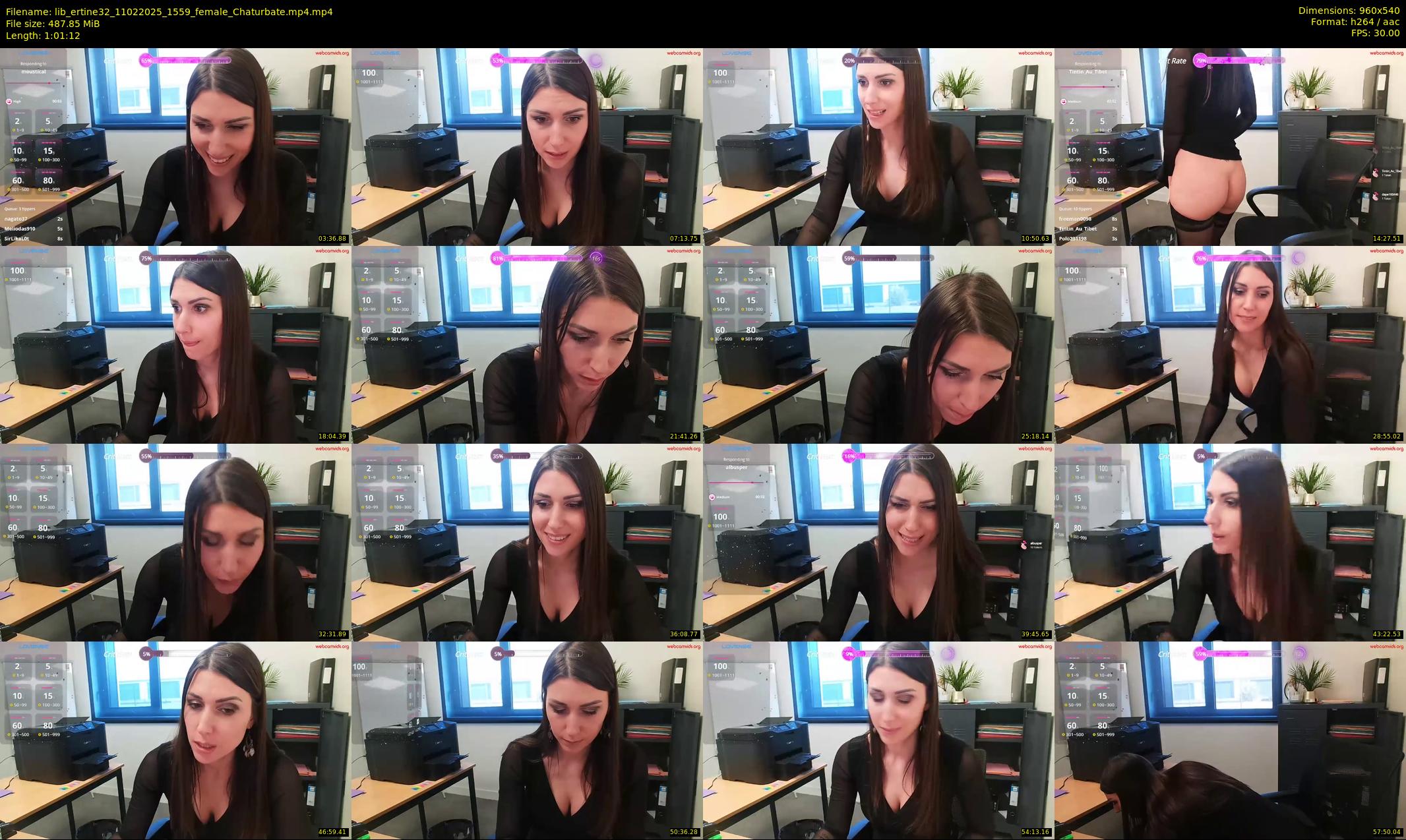 lib_ertine32 — 62 minute Chaturbate female cam show recording, 480p, Feb 11, 2025