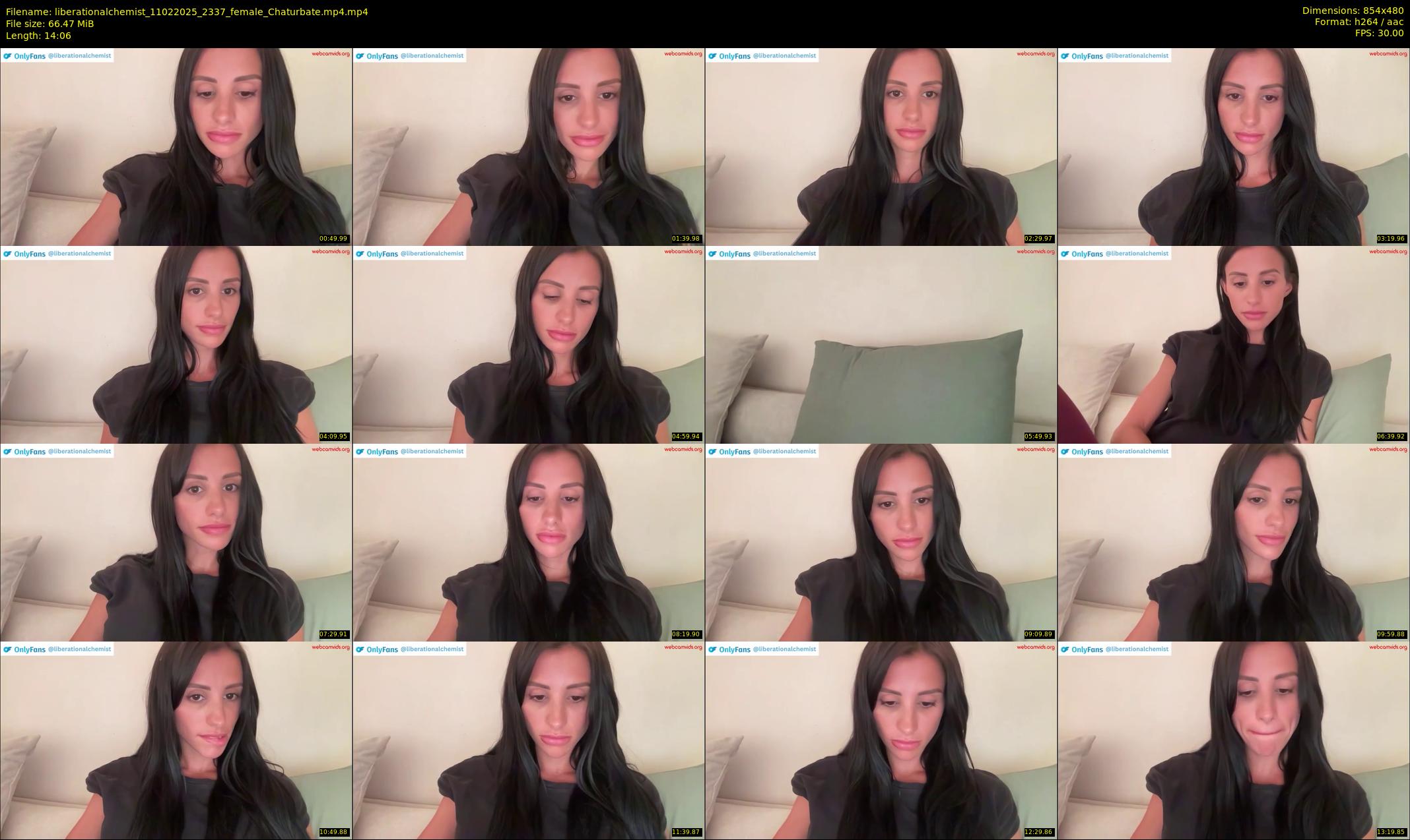 liberationalchemist — 15 minute Chaturbate couple cam show recording, 480p, Feb 11, 2025