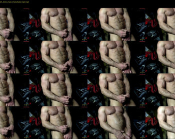 whackingmywilly — 5 minute Chaturbate male cam show recording, 480p, Feb 12, 2025