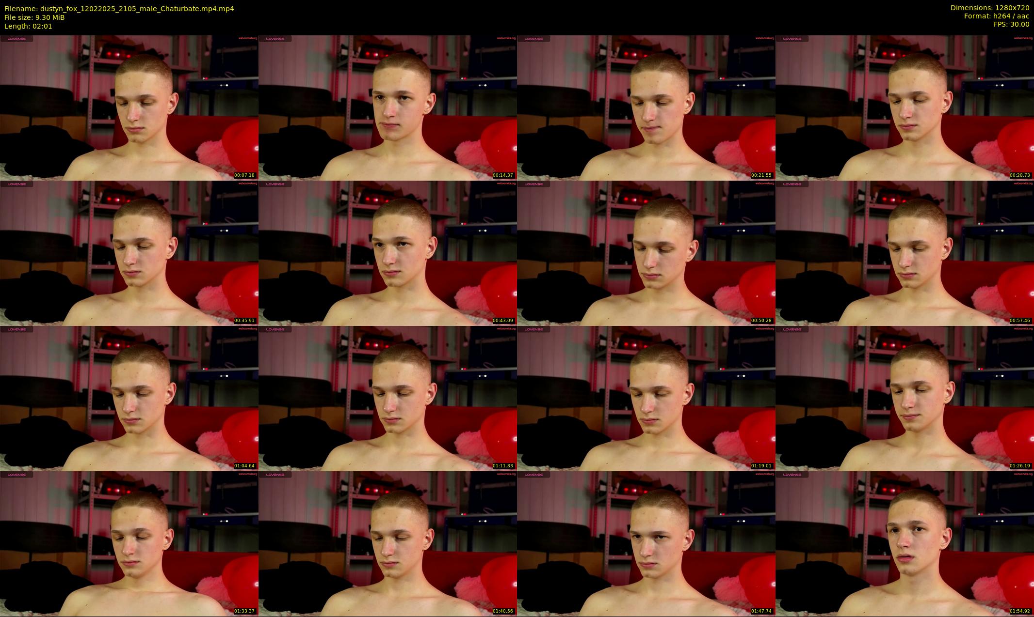 dustyn_fox — 3 minute Chaturbate male cam show recording, 720p, Feb 12, 2025