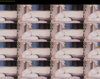 liass_molly — 9 minute Chaturbate female cam show recording, 720p, Feb 12, 2025